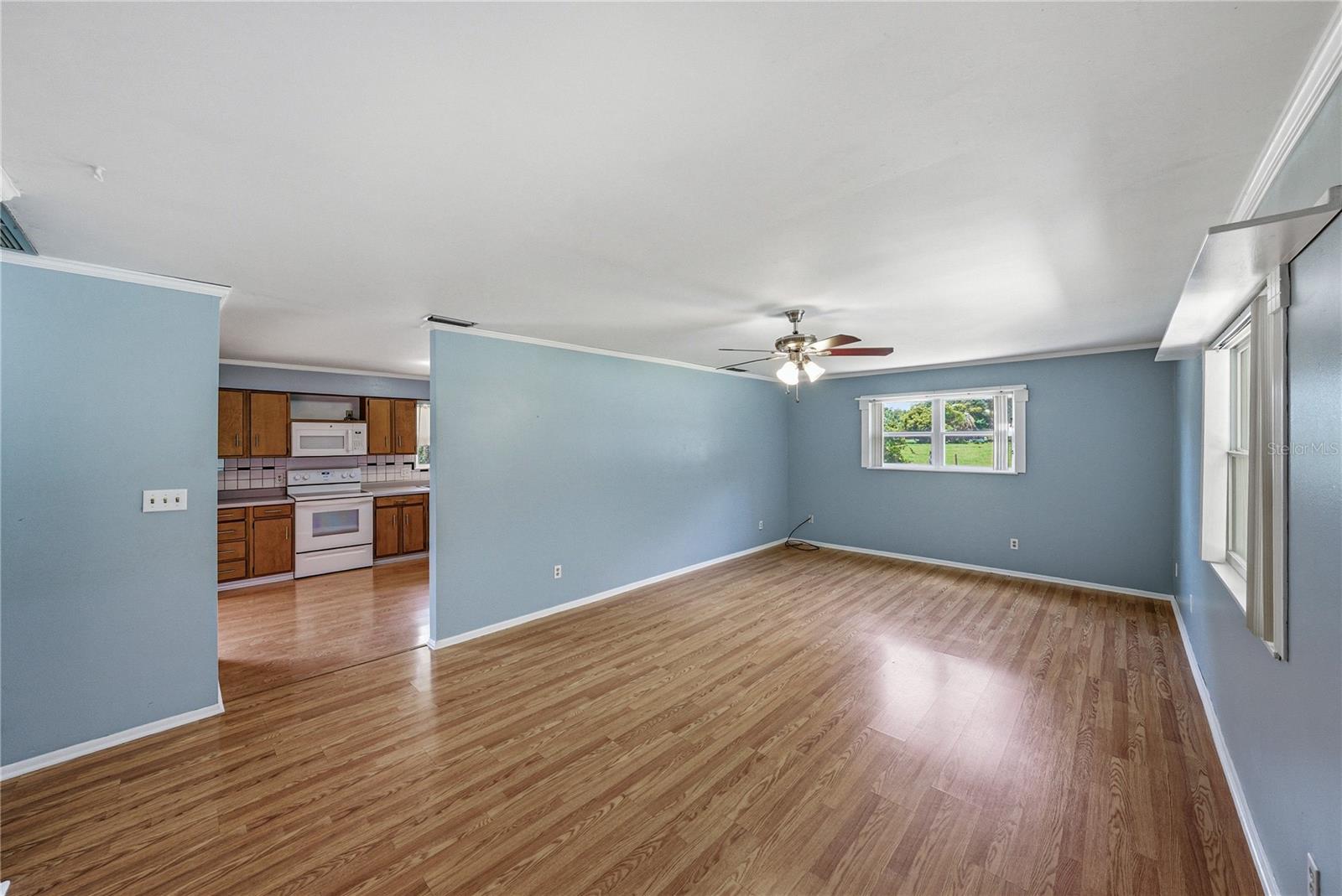 34240 APPALOOSA TRL, WESLEY CHAPEL, FL, 33543