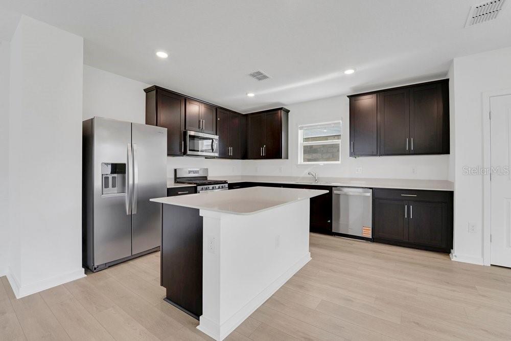 33460 BINDING TIES LN, WESLEY CHAPEL, FL, 33545