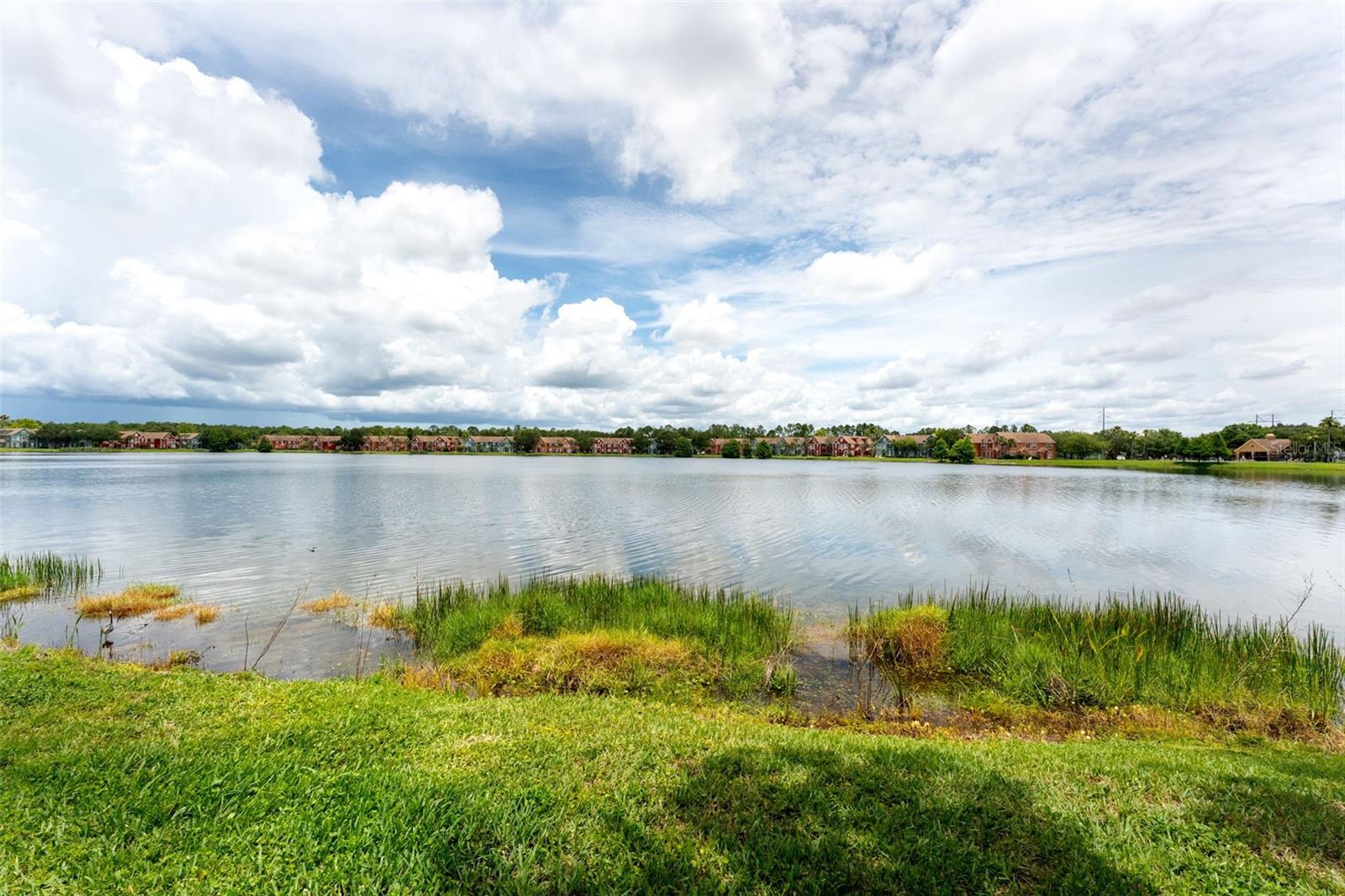 9714 LAKE CHASE ISLAND WAY, TAMPA, FL, 33626