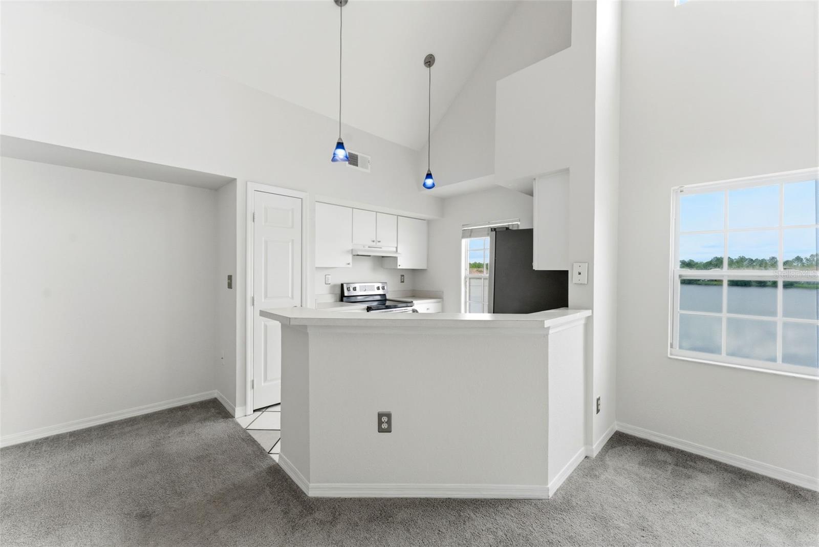 9714 LAKE CHASE ISLAND WAY, TAMPA, FL, 33626