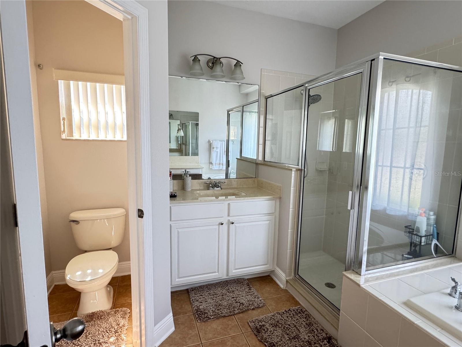 15336 FIRELIGHT DR, WINTER GARDEN, FL, 34787