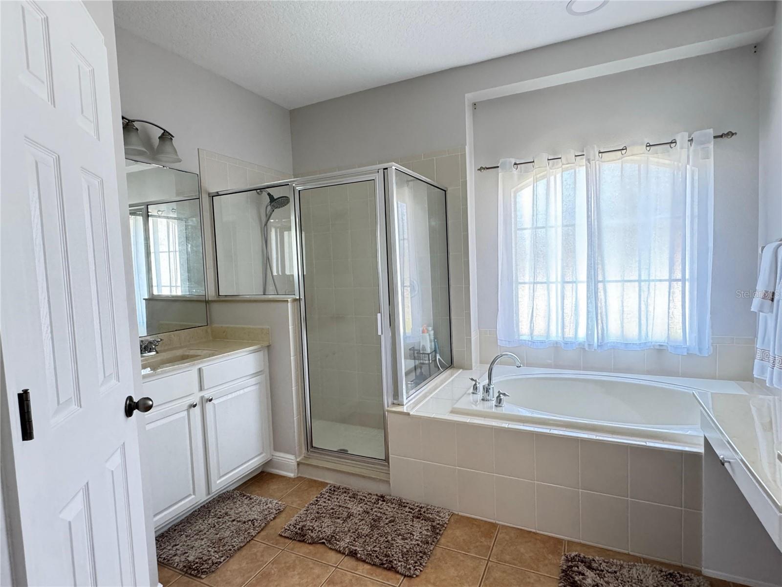 15336 FIRELIGHT DR, WINTER GARDEN, FL, 34787