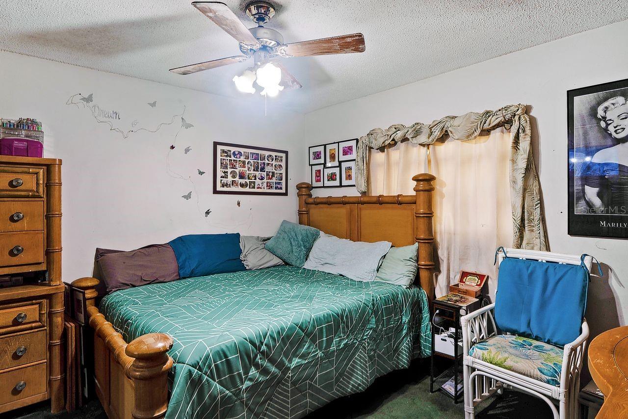 2005 HUDSON CT, OLDSMAR, FL, 34677