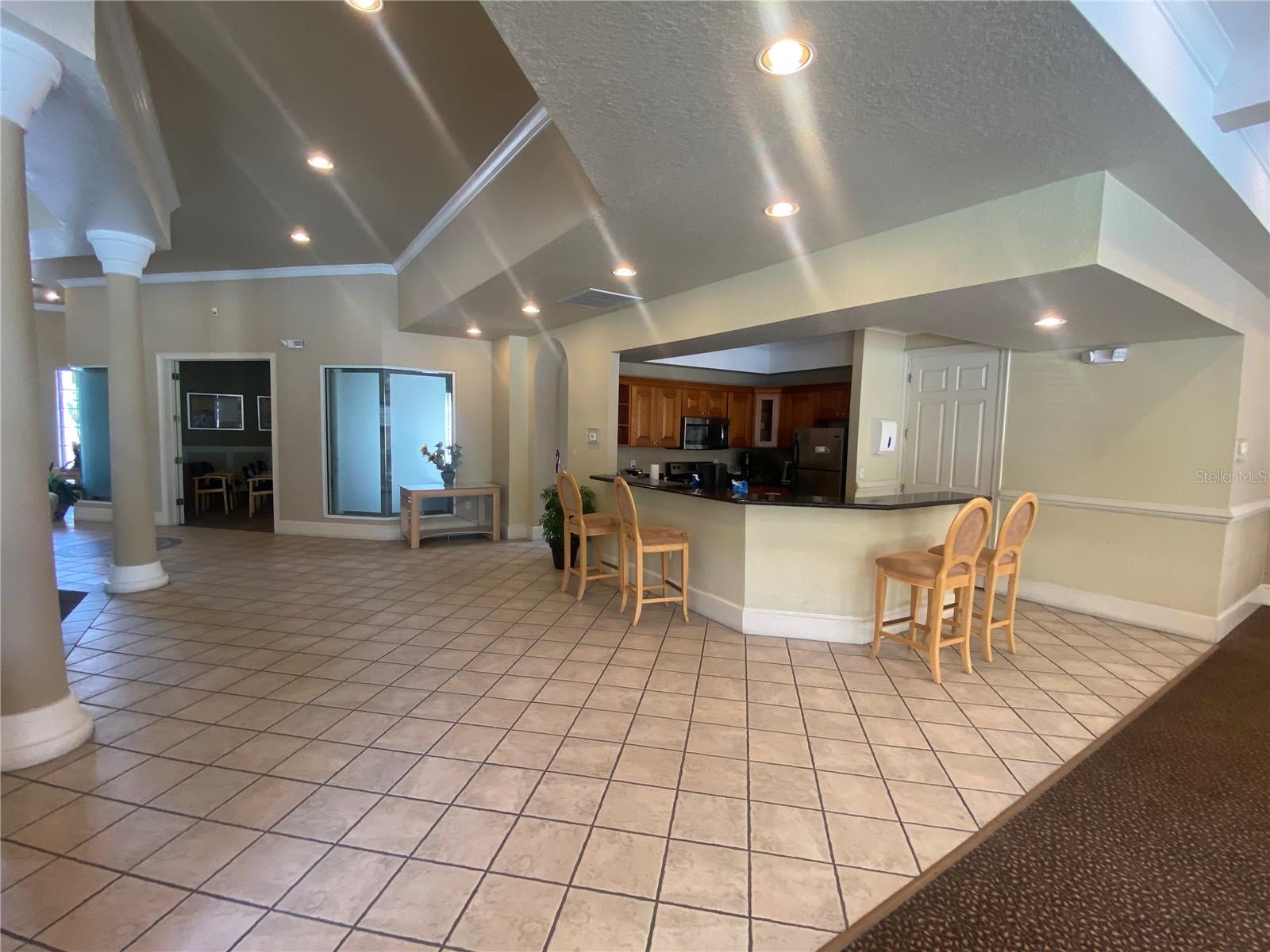 17110 CARRINGTON PARK DR #825, TAMPA, FL, 33647