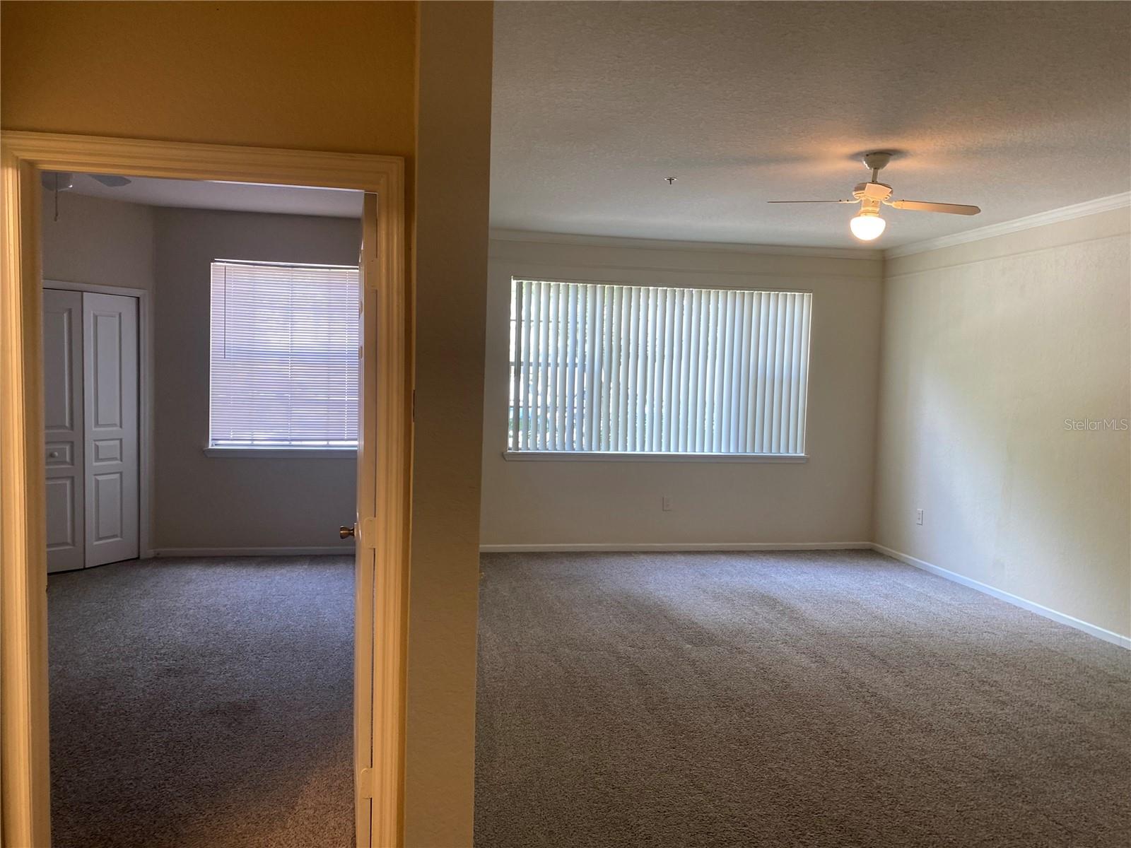 17110 CARRINGTON PARK DR #825, TAMPA, FL, 33647