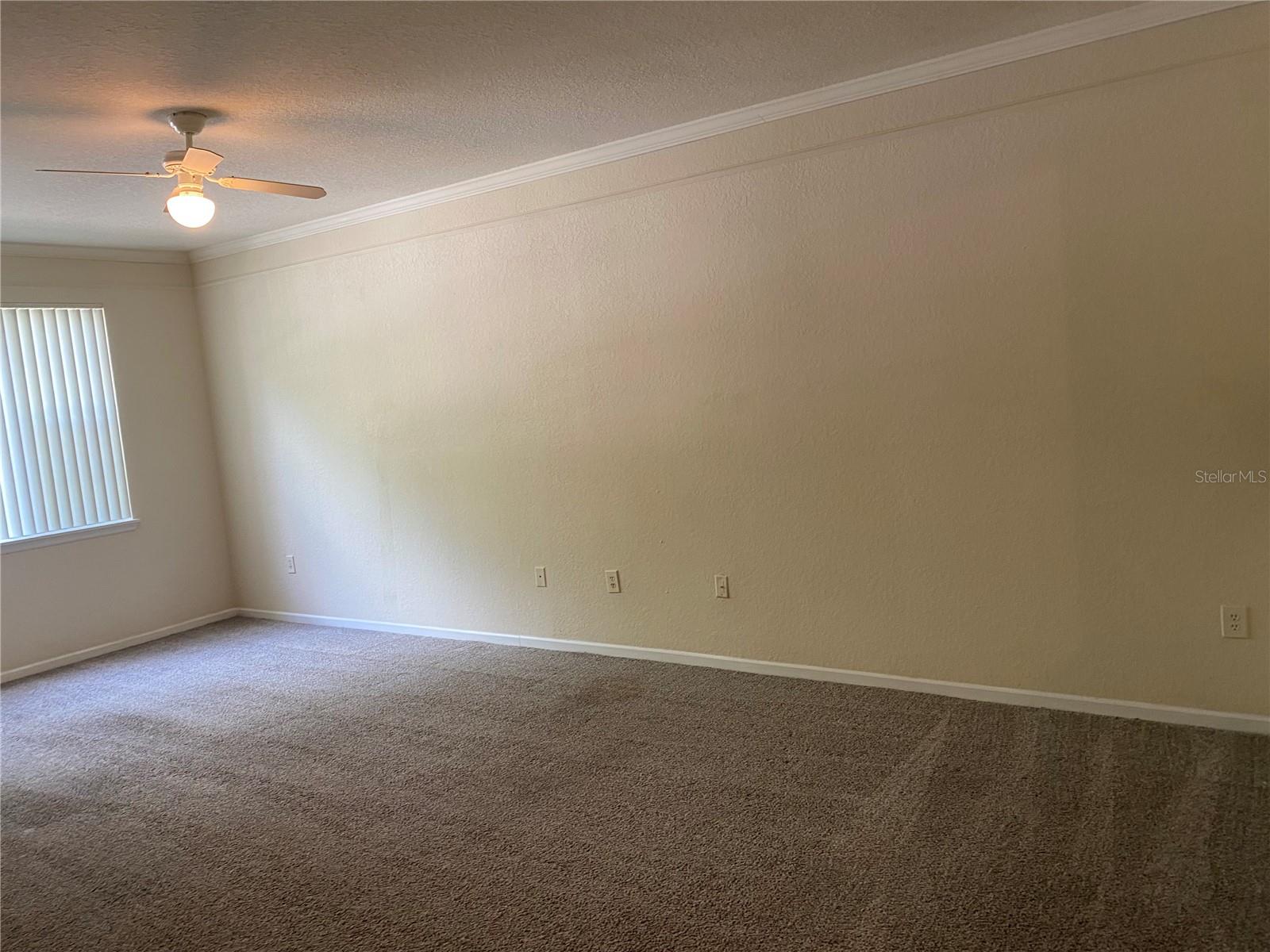 17110 CARRINGTON PARK DR #825, TAMPA, FL, 33647