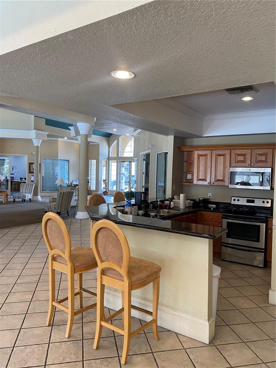 17110 CARRINGTON PARK DR #825, TAMPA, FL, 33647
