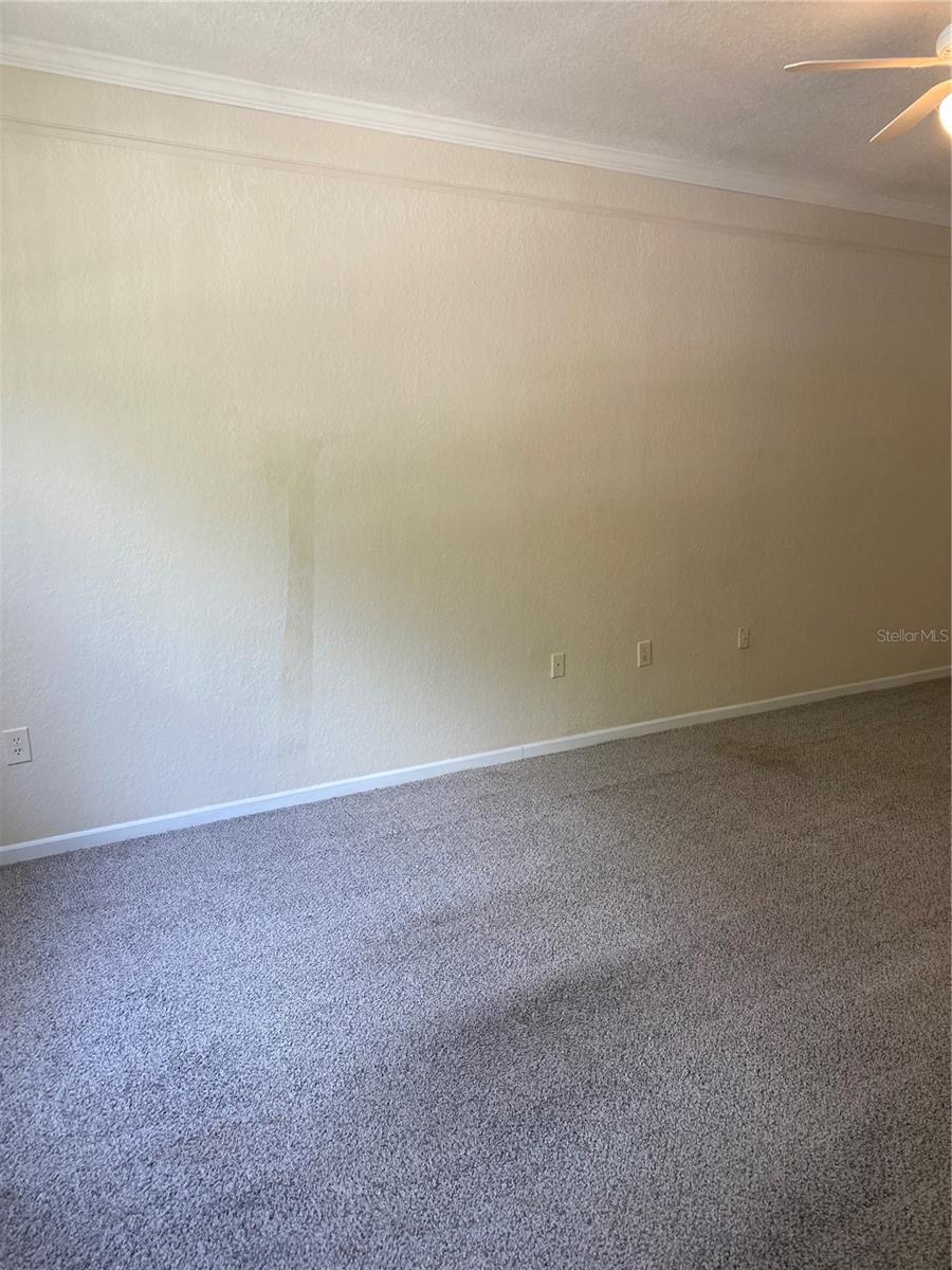 17110 CARRINGTON PARK DR #825, TAMPA, FL, 33647