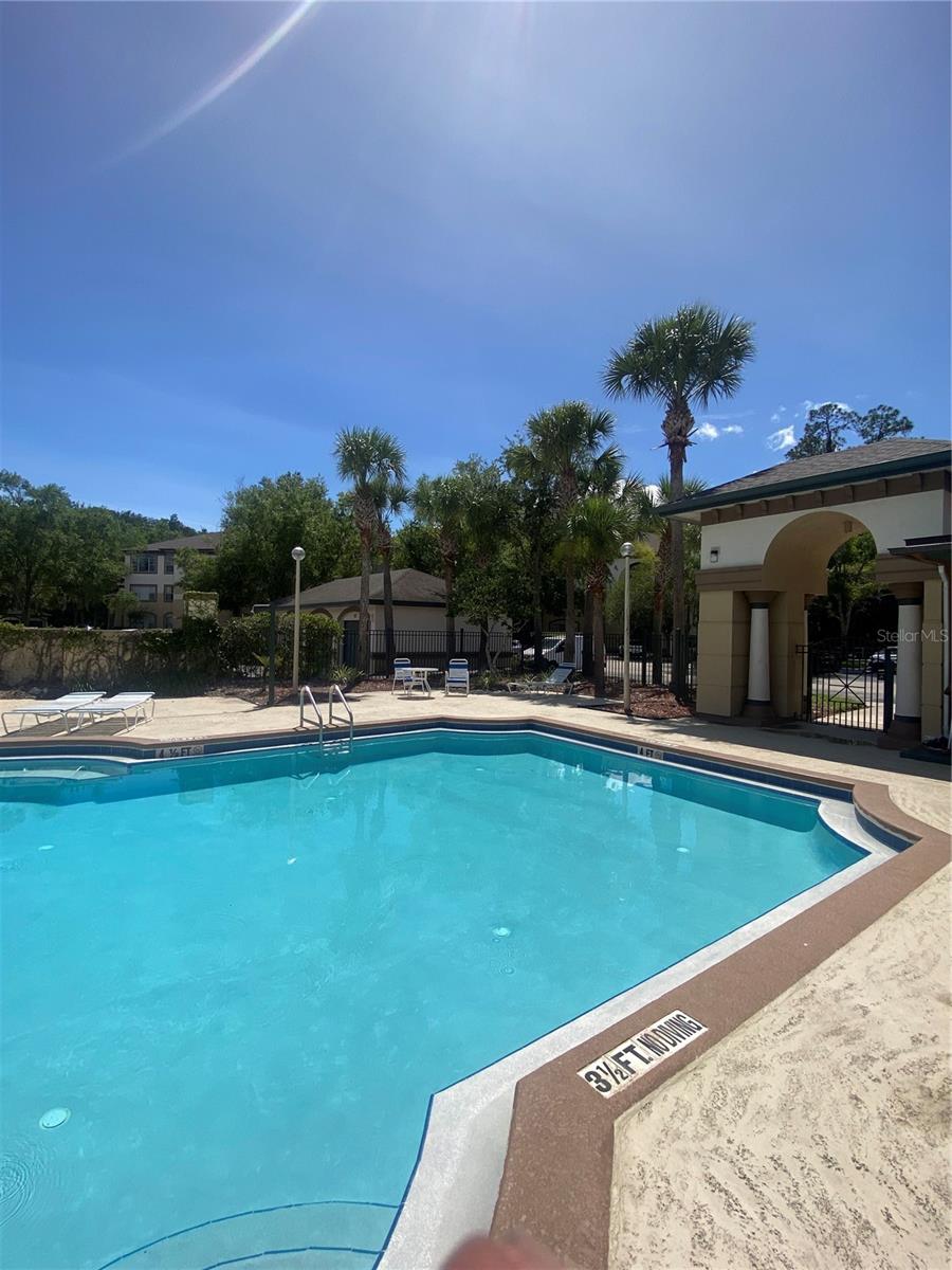 17110 CARRINGTON PARK DR #825, TAMPA, FL, 33647