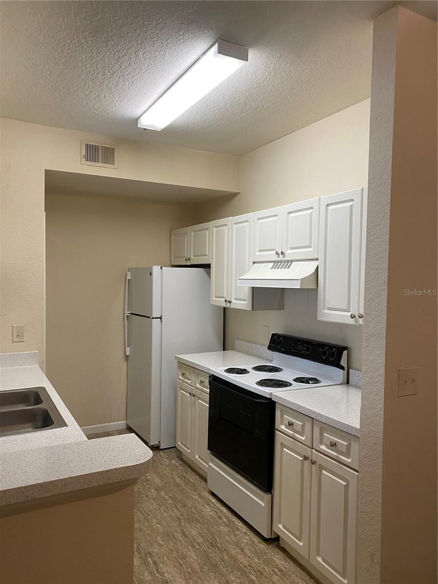 17110 CARRINGTON PARK DR #825, TAMPA, FL, 33647