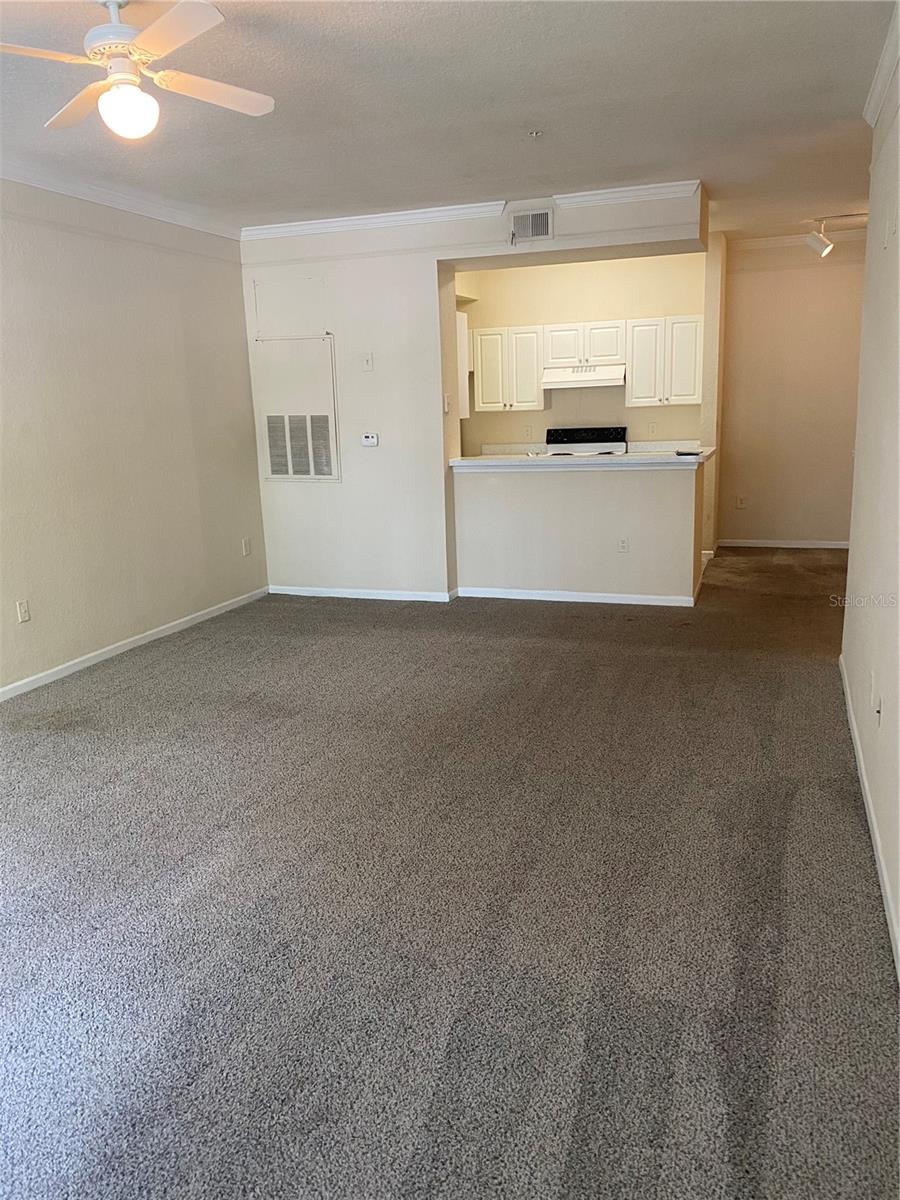 17110 CARRINGTON PARK DR #825, TAMPA, FL, 33647