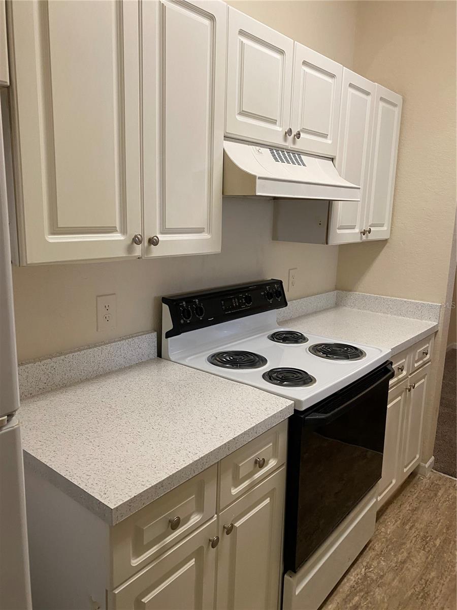 17110 CARRINGTON PARK DR #825, TAMPA, FL, 33647