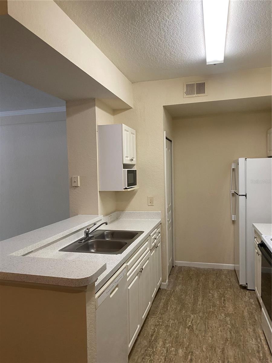 17110 CARRINGTON PARK DR #825, TAMPA, FL, 33647