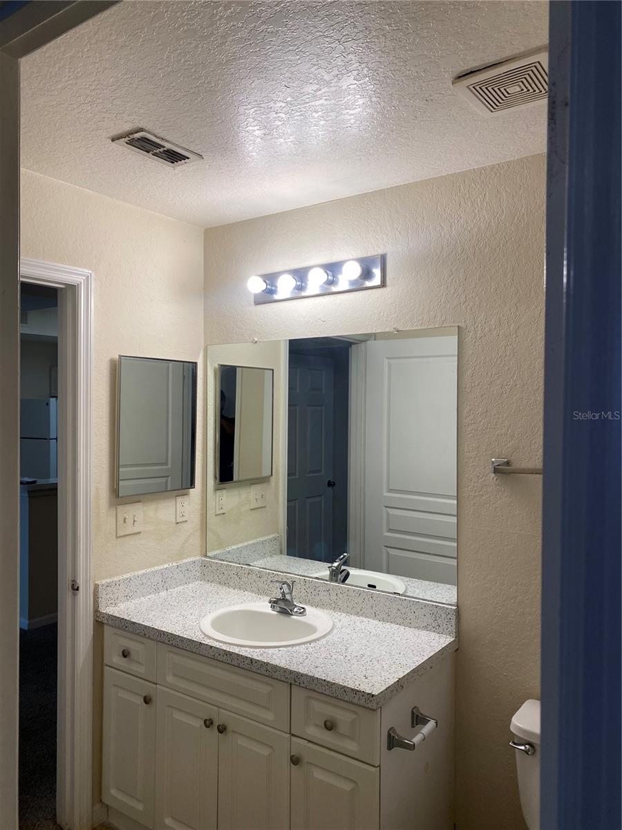 17110 CARRINGTON PARK DR #825, TAMPA, FL, 33647