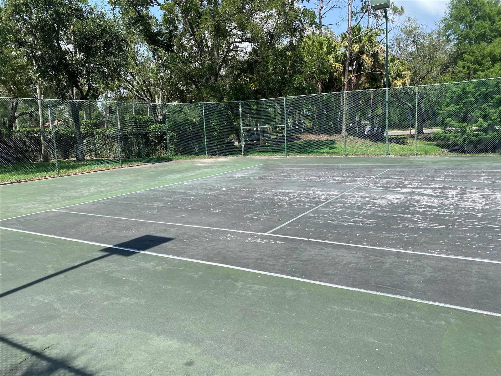 17110 CARRINGTON PARK DR #825, TAMPA, FL, 33647