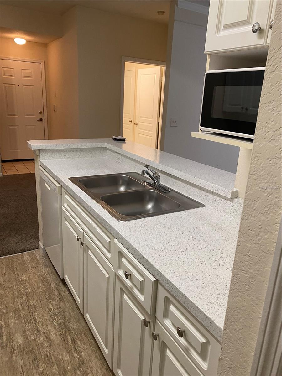 17110 CARRINGTON PARK DR #825, TAMPA, FL, 33647