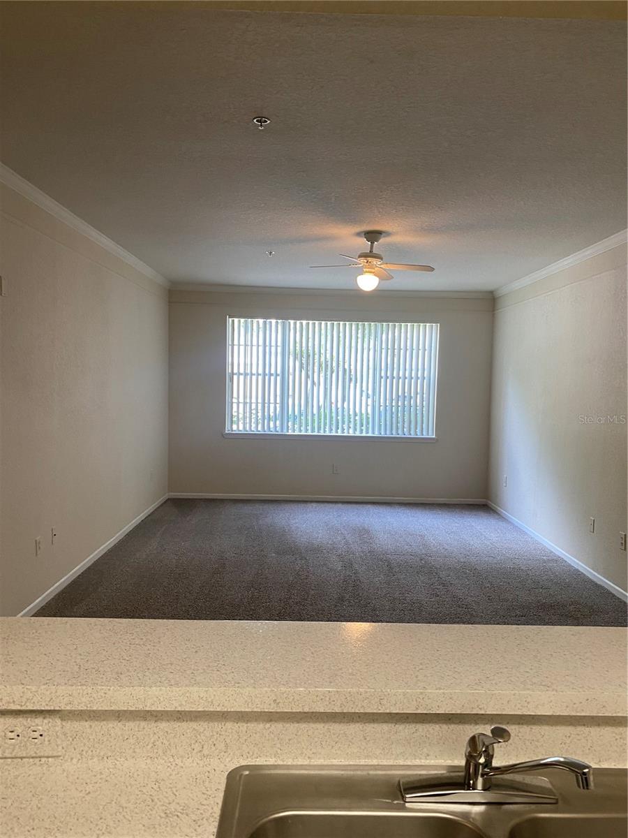 17110 CARRINGTON PARK DR #825, TAMPA, FL, 33647