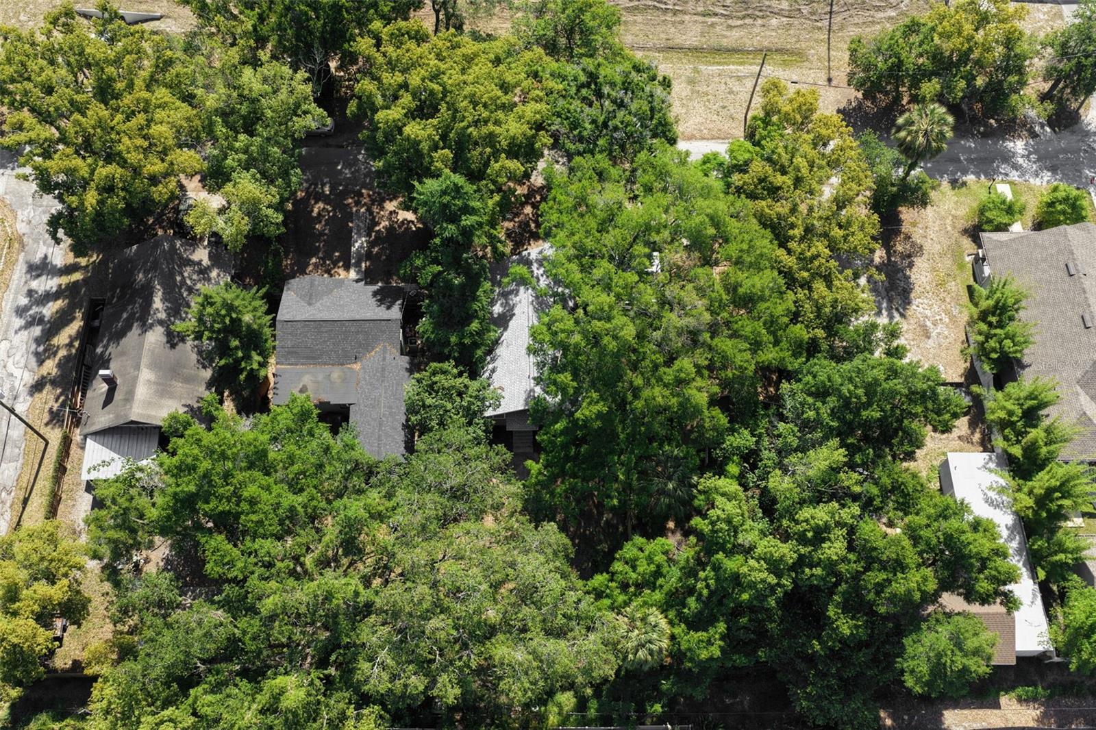 4208 N MARGUERITE, TAMPA, FL, 33603