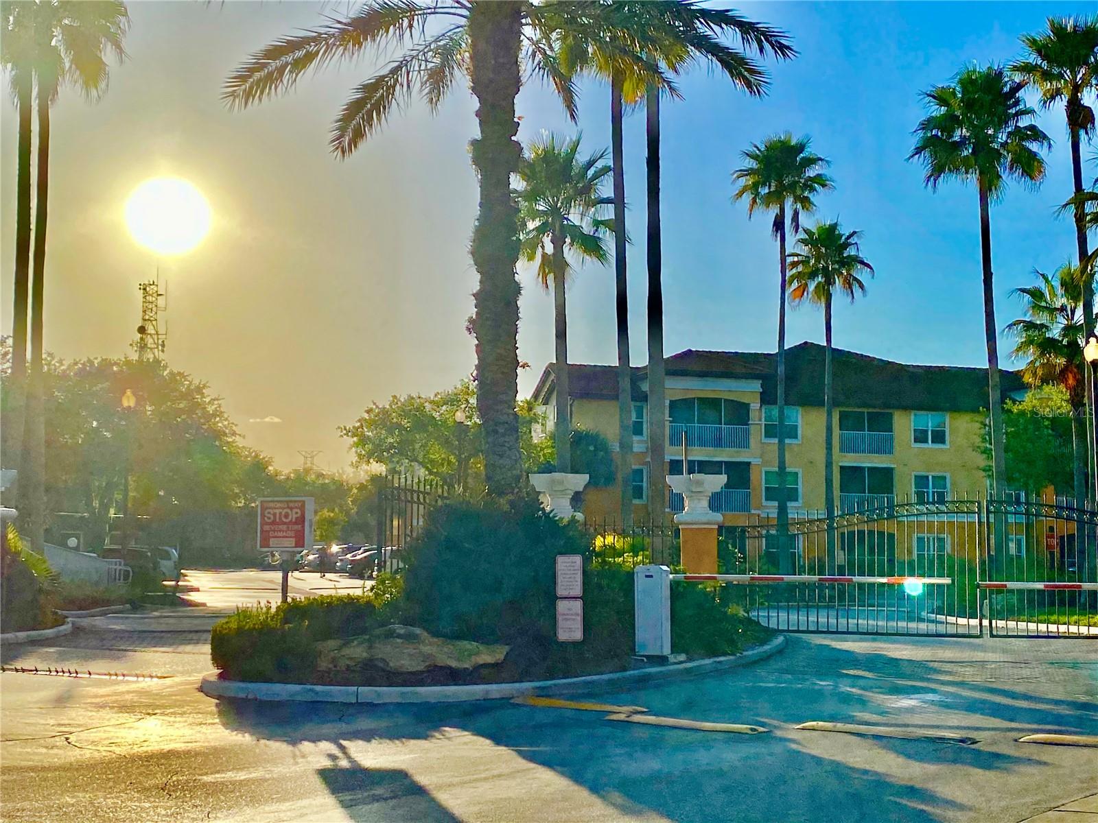 5463 VINELAND RD #5103, ORLANDO, FL, 32811