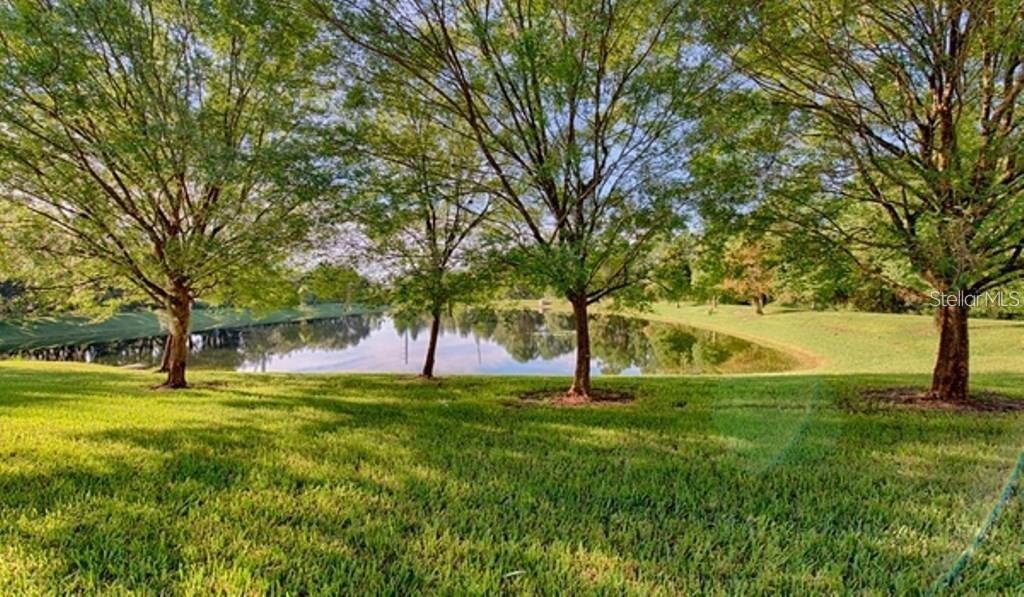 8515 CRYSTAL COVE LOOP, KISSIMMEE, FL, 34747