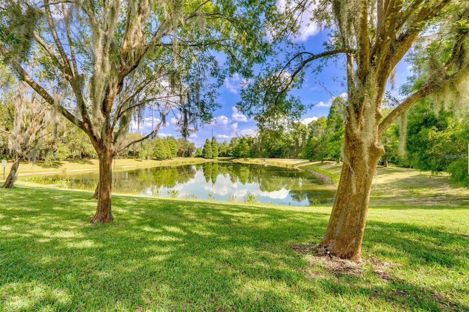 8515 CRYSTAL COVE LOOP, KISSIMMEE, FL, 34747