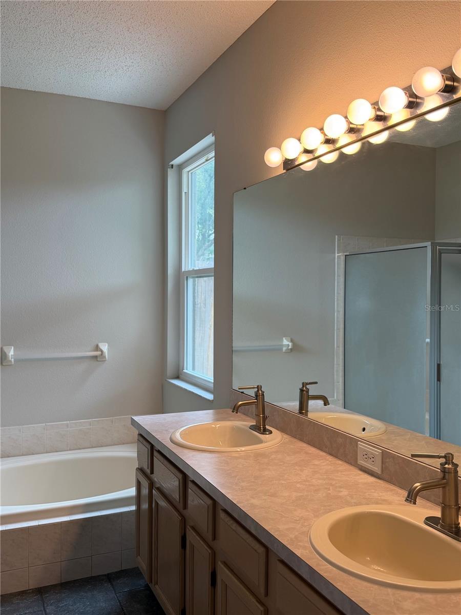 919 GRAND CANYON DR, VALRICO, FL, 33594