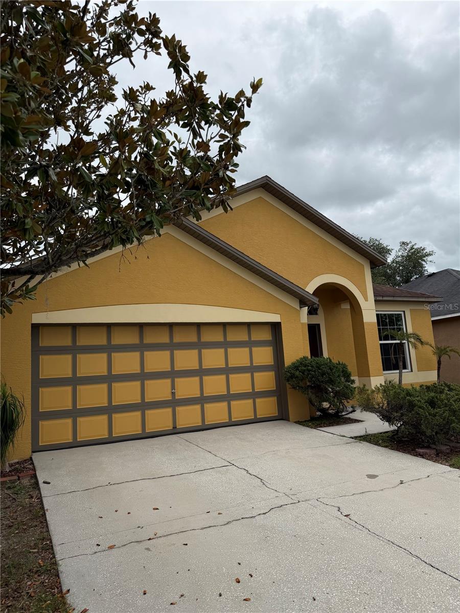 919 GRAND CANYON DR, VALRICO, FL, 33594