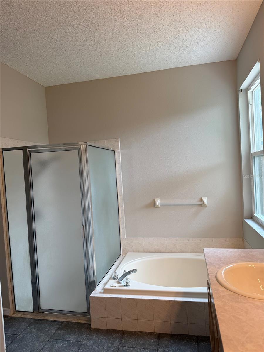 919 GRAND CANYON DR, VALRICO, FL, 33594