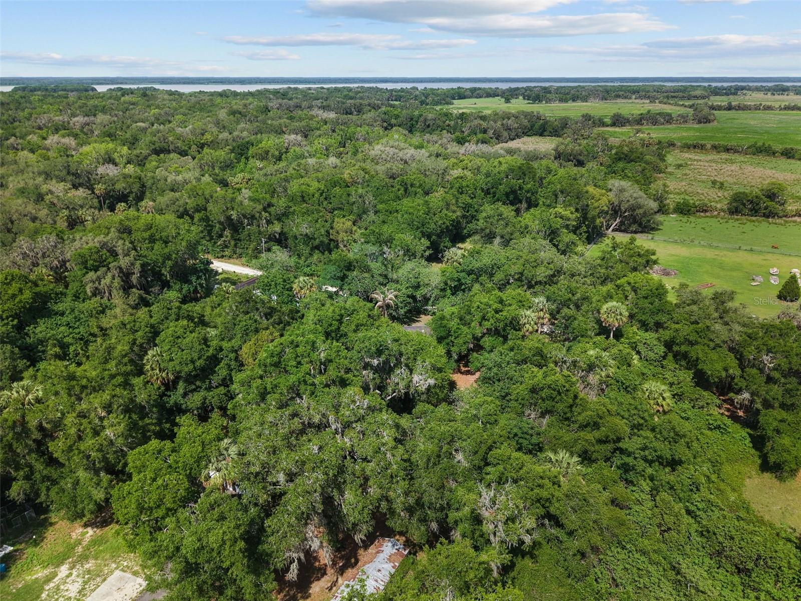 21390 NW 59TH AVE, MICANOPY, FL, 32667