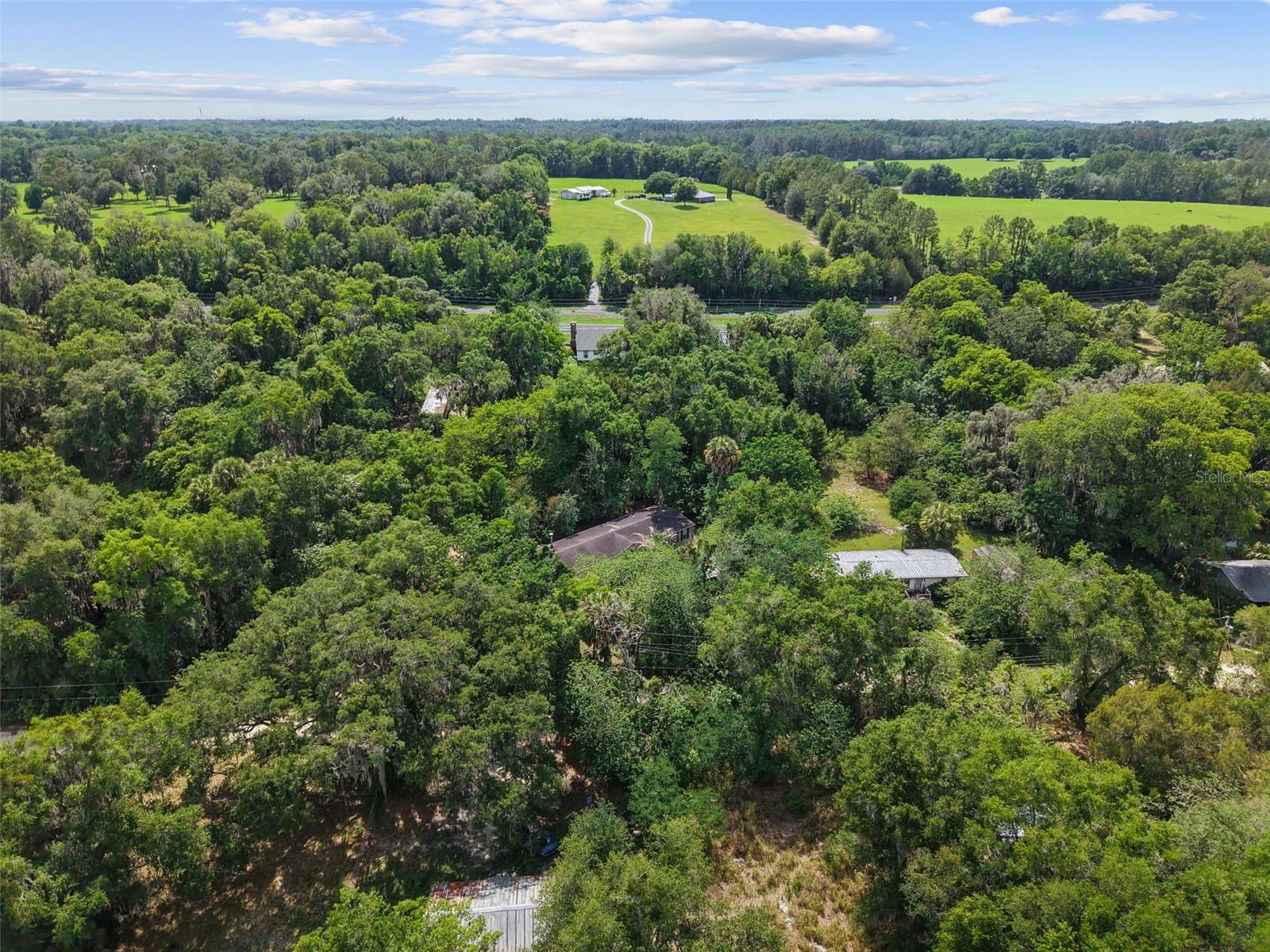 21390 NW 59TH AVE, MICANOPY, FL, 32667