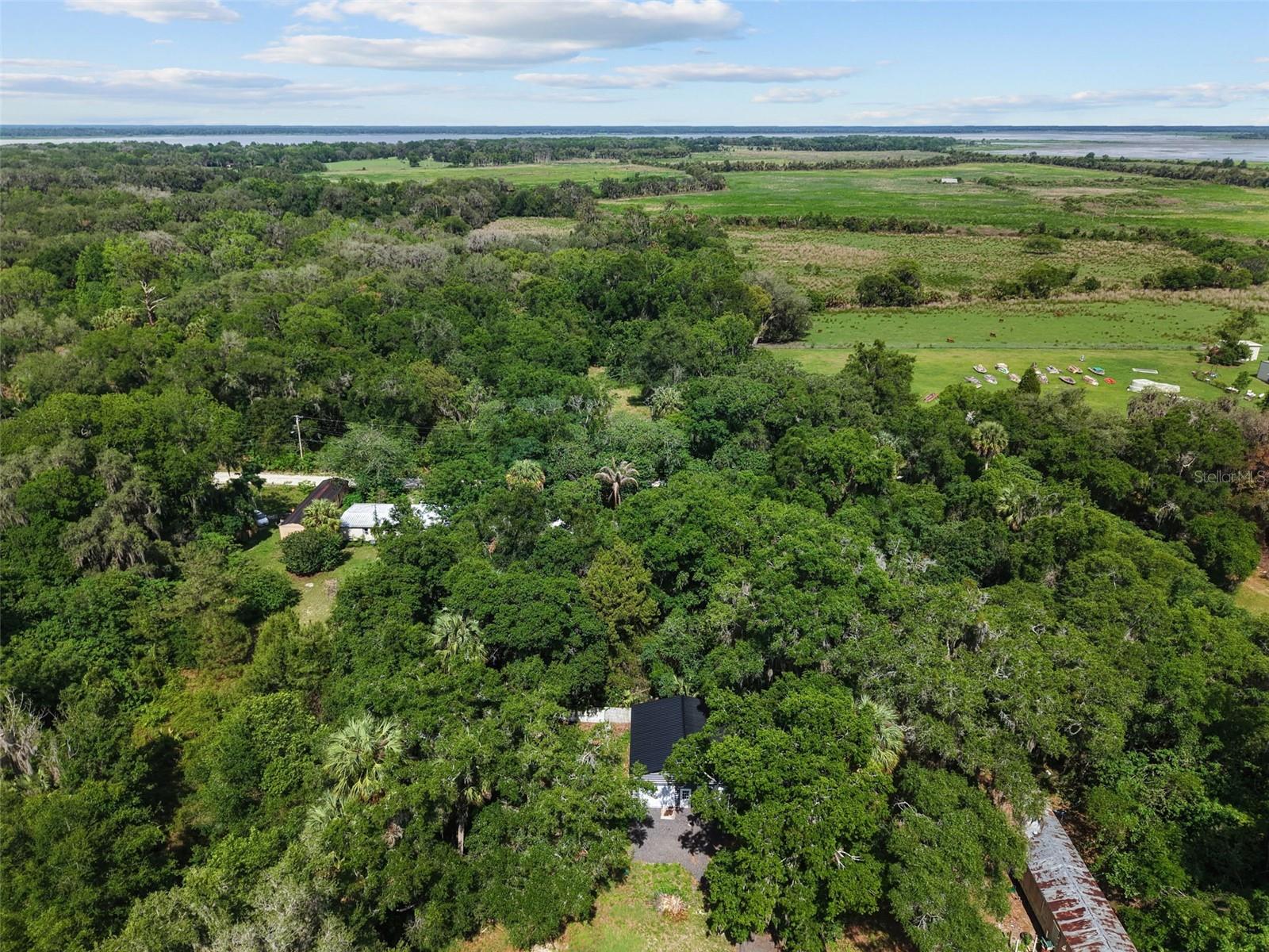 21390 NW 59TH AVE, MICANOPY, FL, 32667