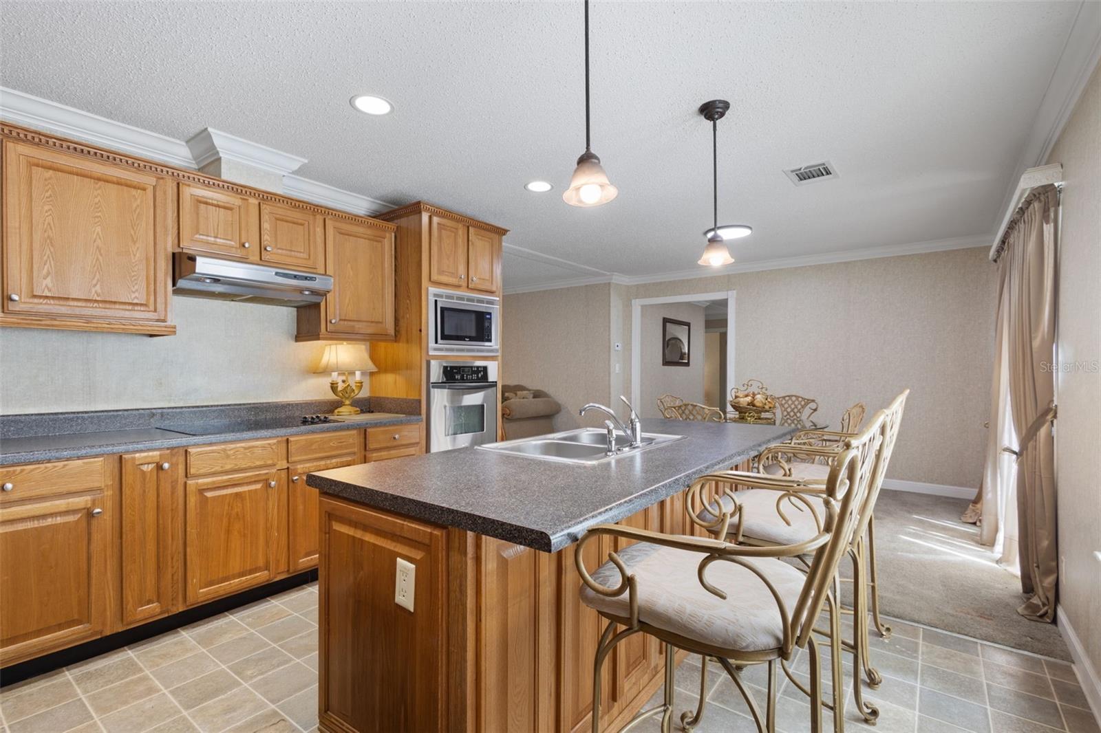 21390 NW 59TH AVE, MICANOPY, FL, 32667