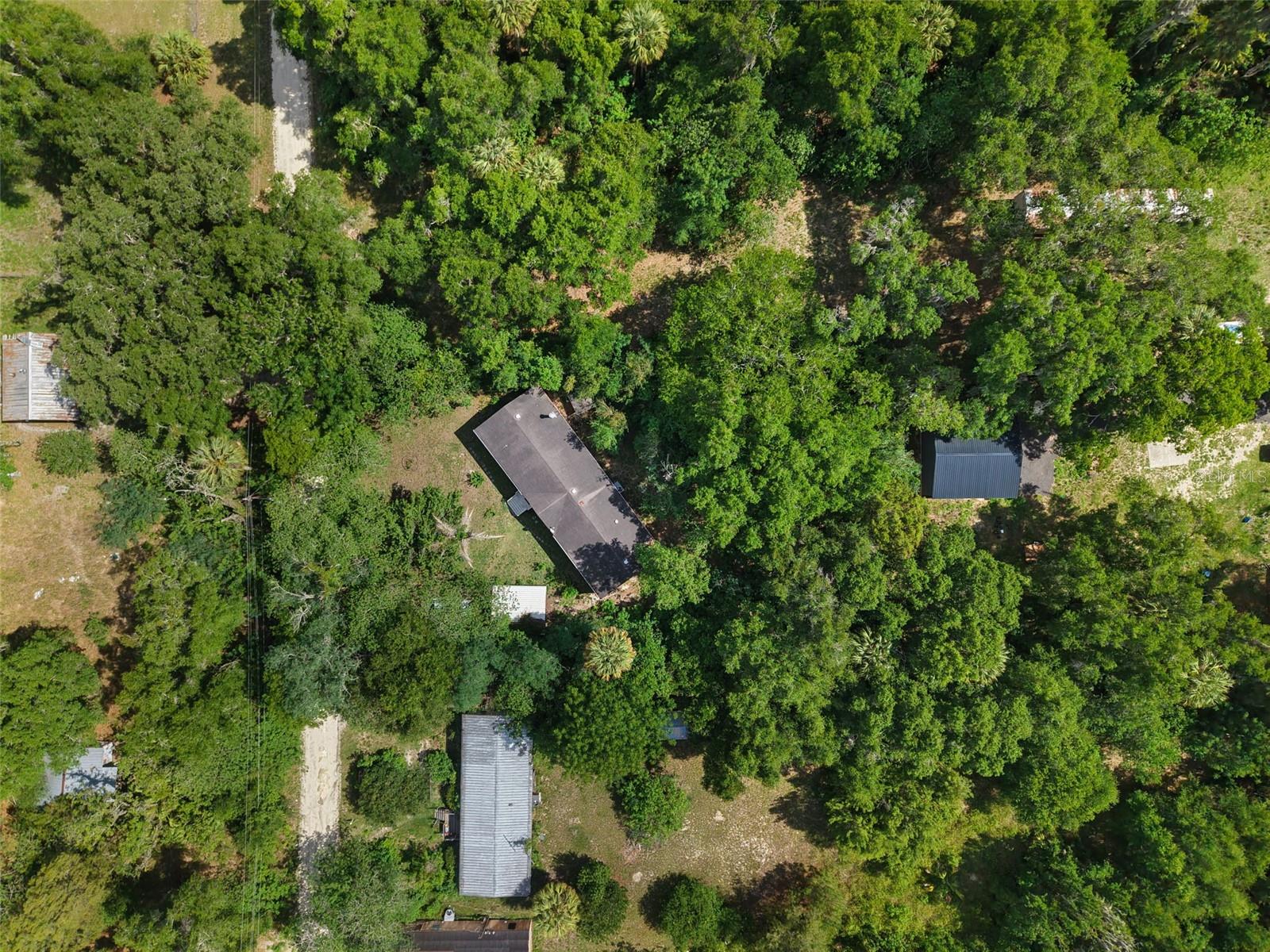 21390 NW 59TH AVE, MICANOPY, FL, 32667