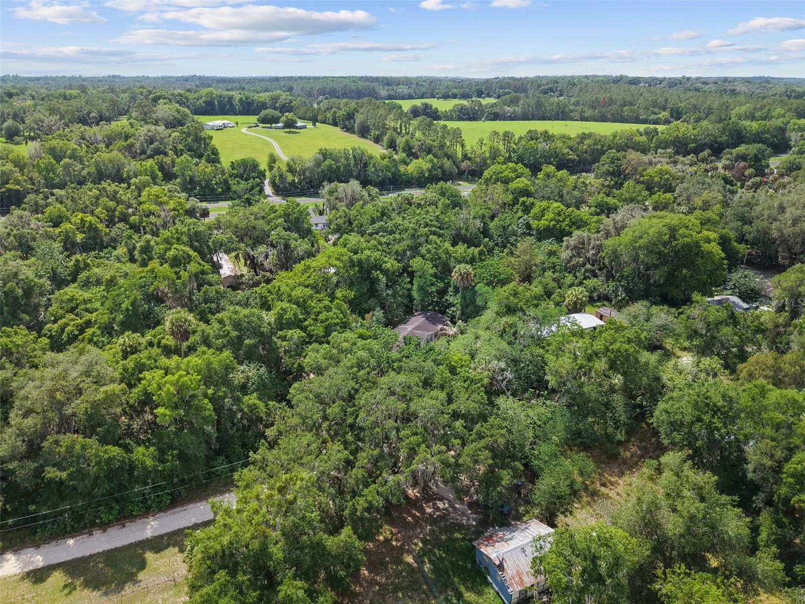21390 NW 59TH AVE, MICANOPY, FL, 32667