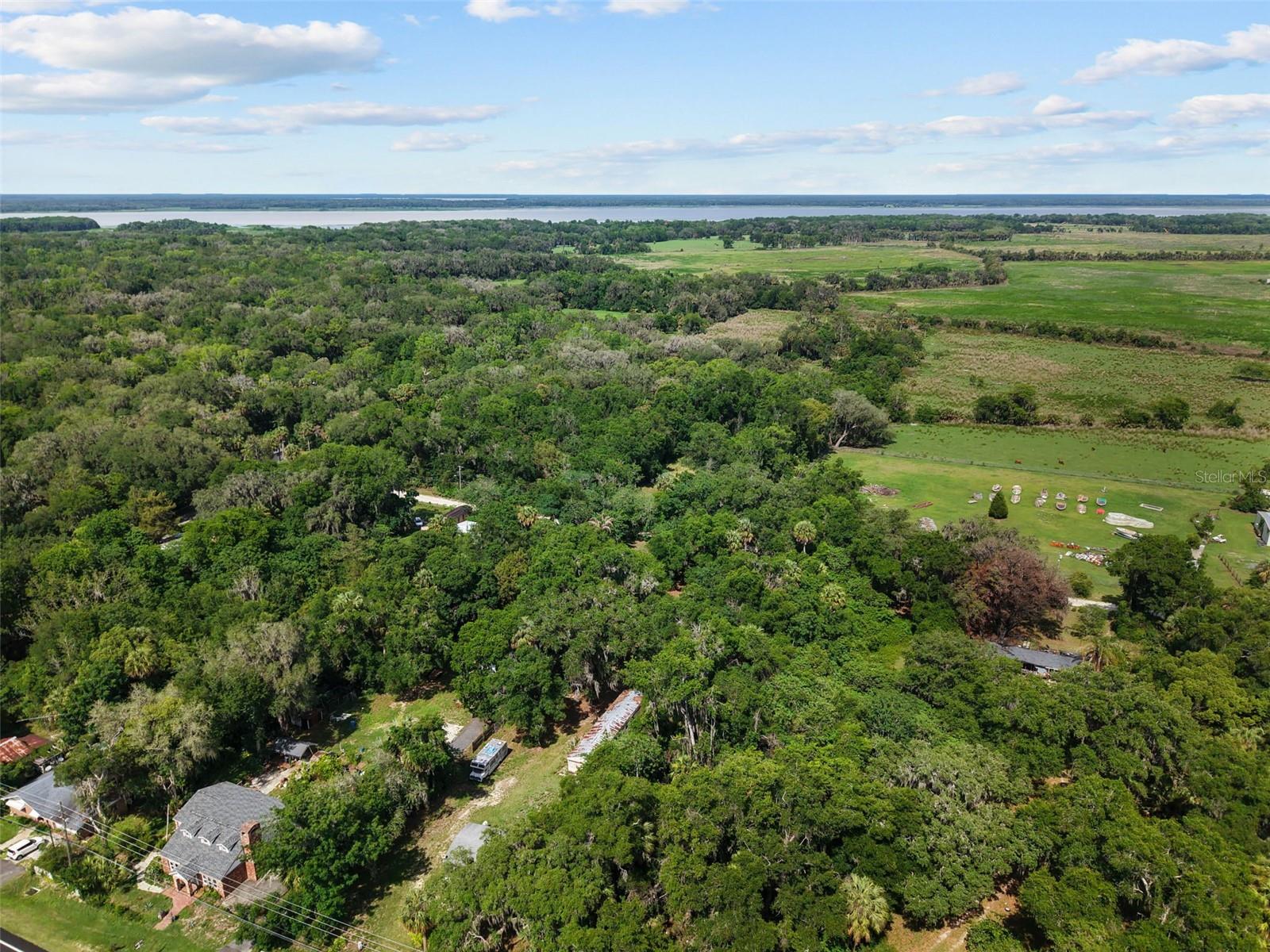 21390 NW 59TH AVE, MICANOPY, FL, 32667