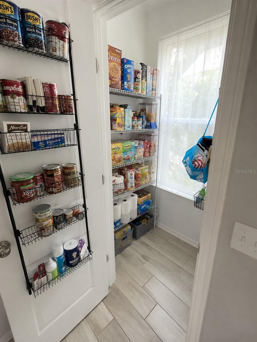 3006 N MORGAN ST, TAMPA, FL, 33603
