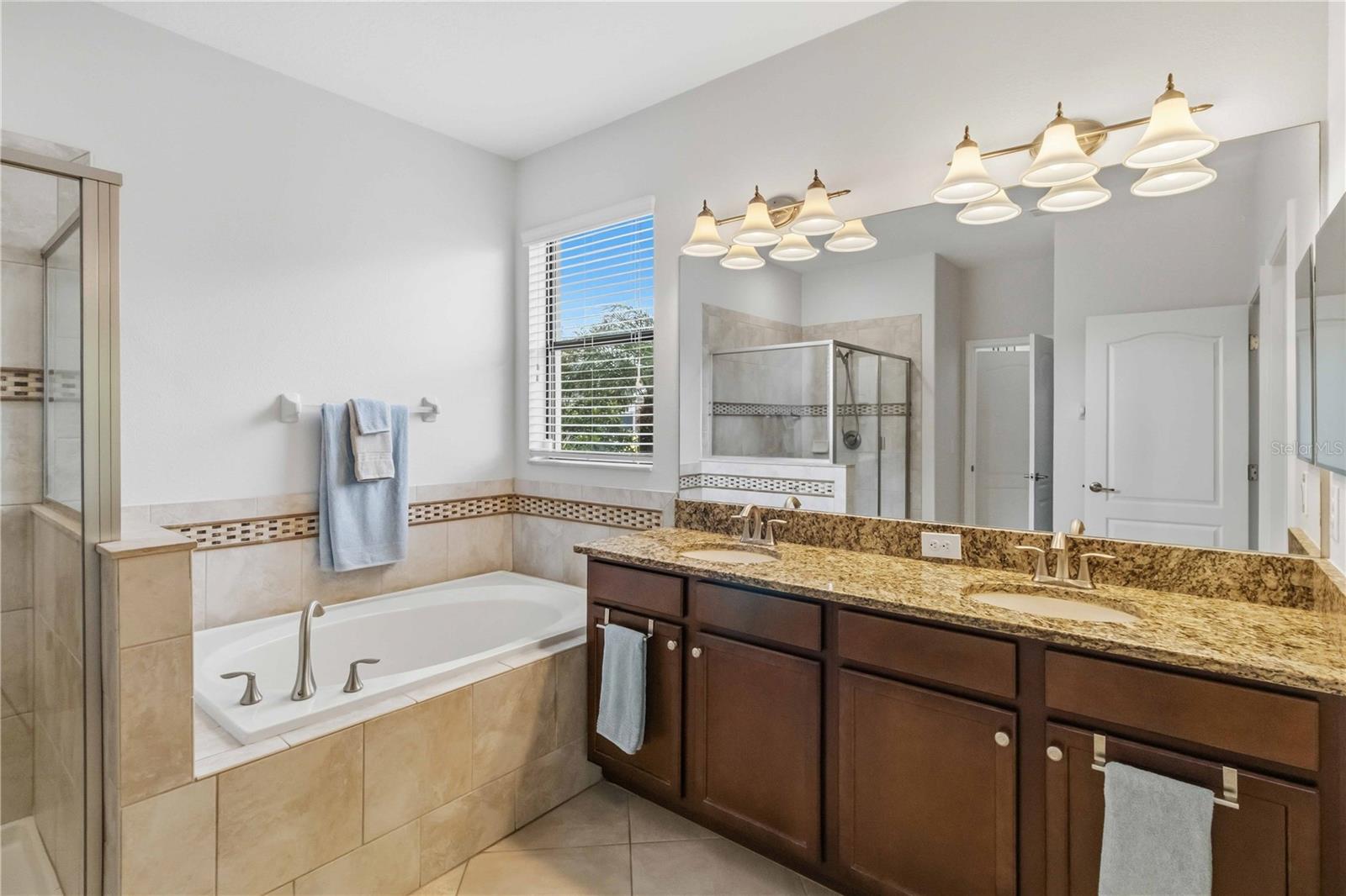 11833 FROST ASTER DR, RIVERVIEW, FL, 33579