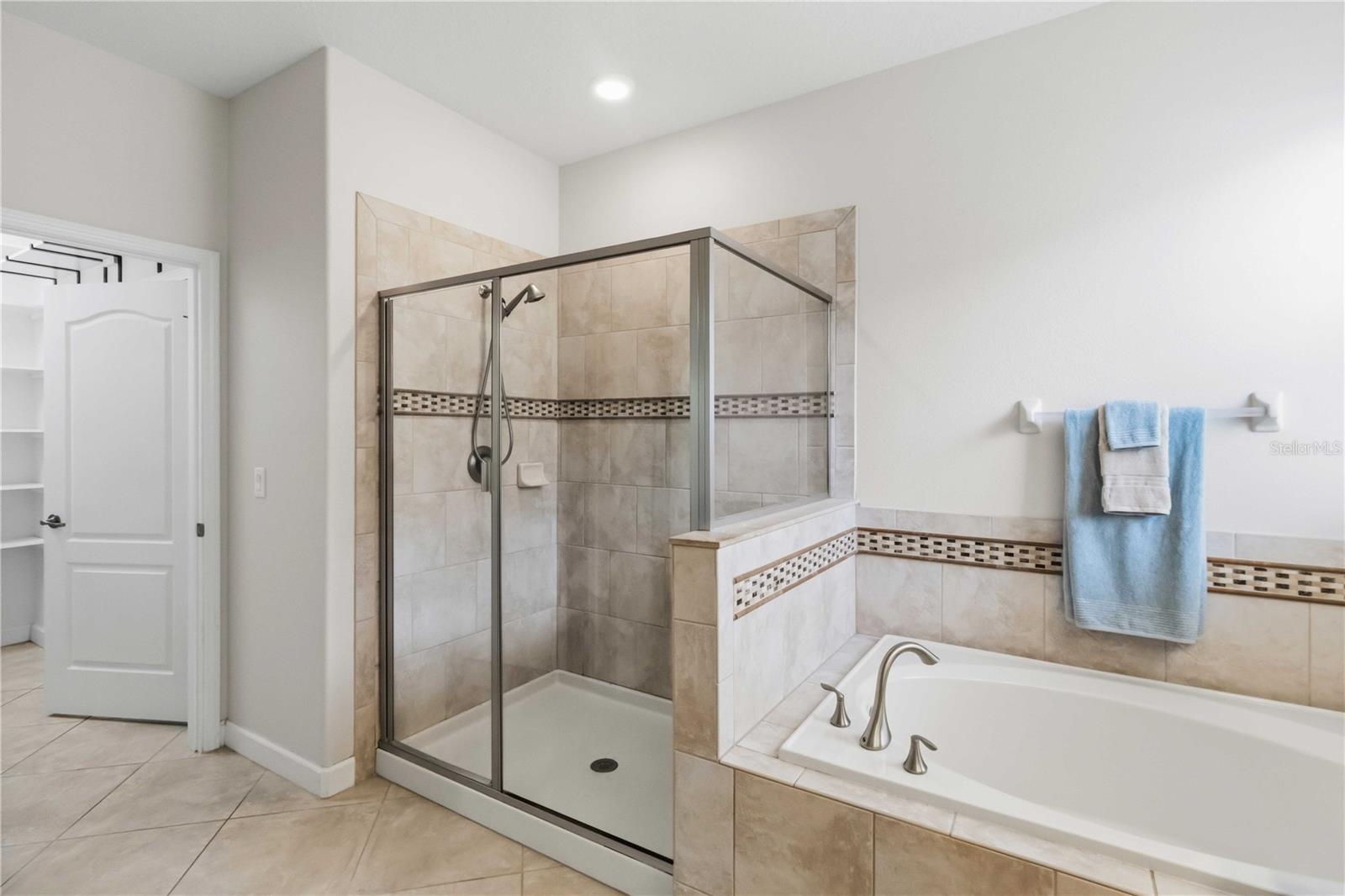 11833 FROST ASTER DR, RIVERVIEW, FL, 33579