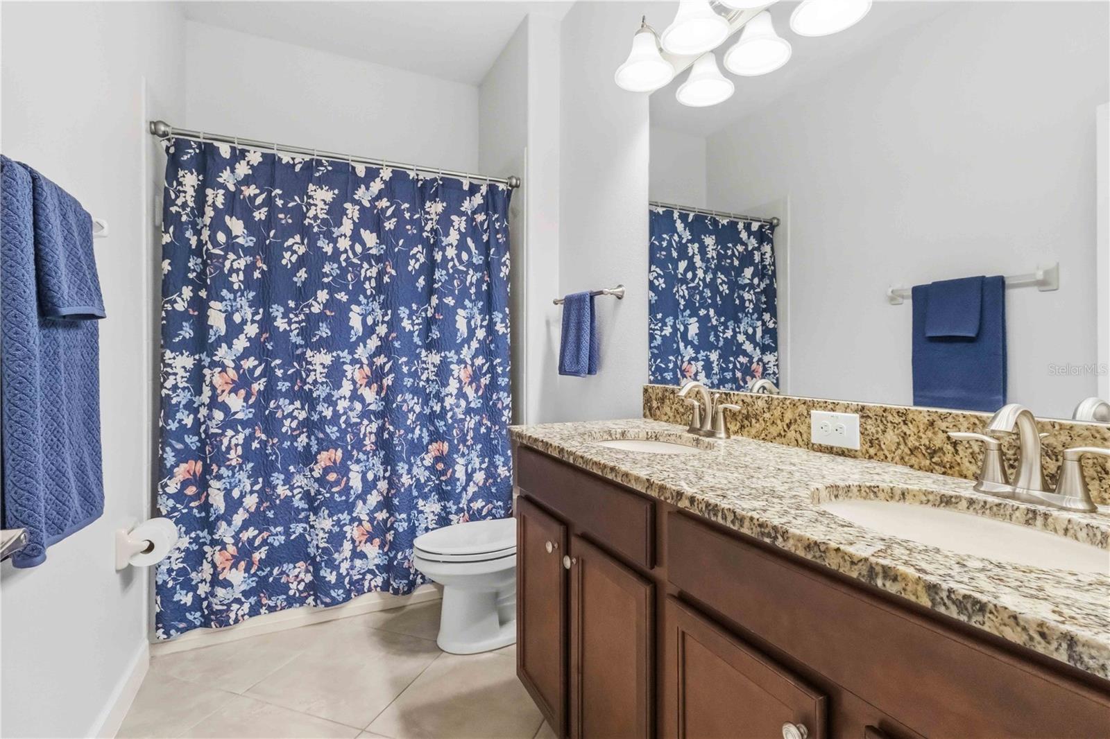 11833 FROST ASTER DR, RIVERVIEW, FL, 33579