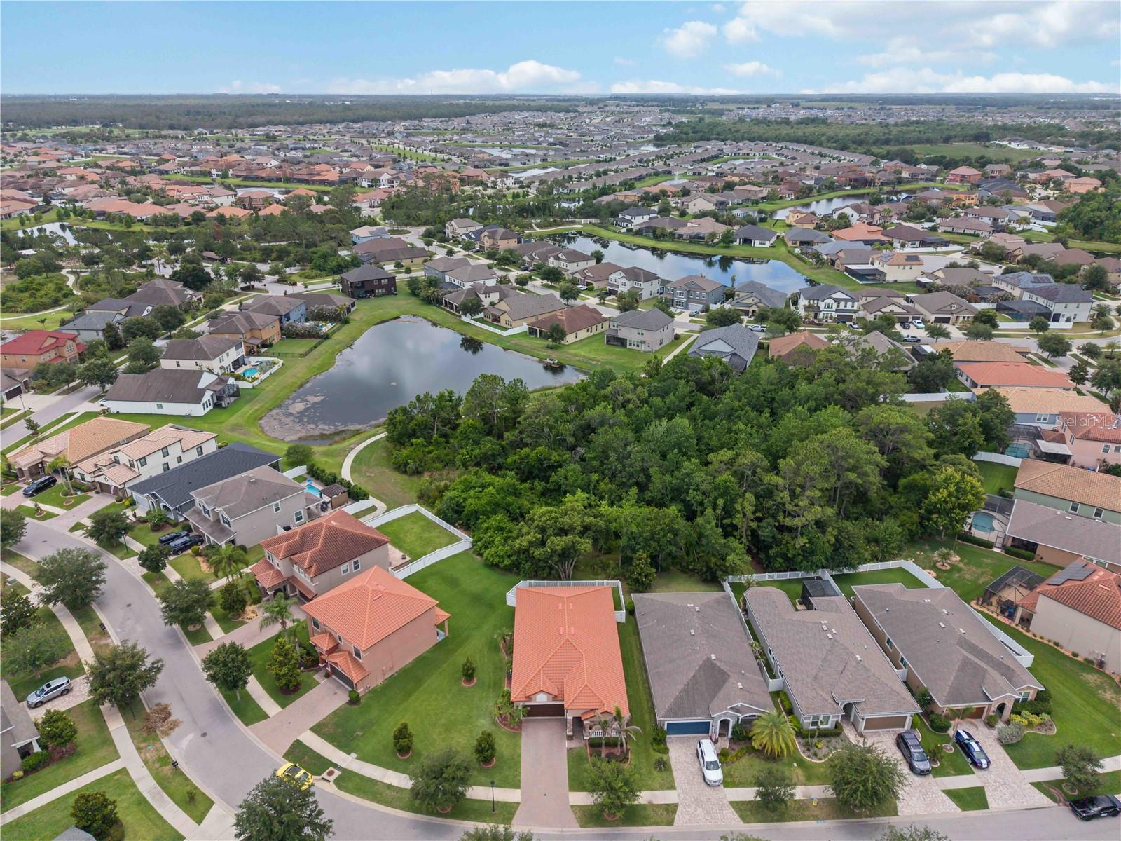 11833 FROST ASTER DR, RIVERVIEW, FL, 33579