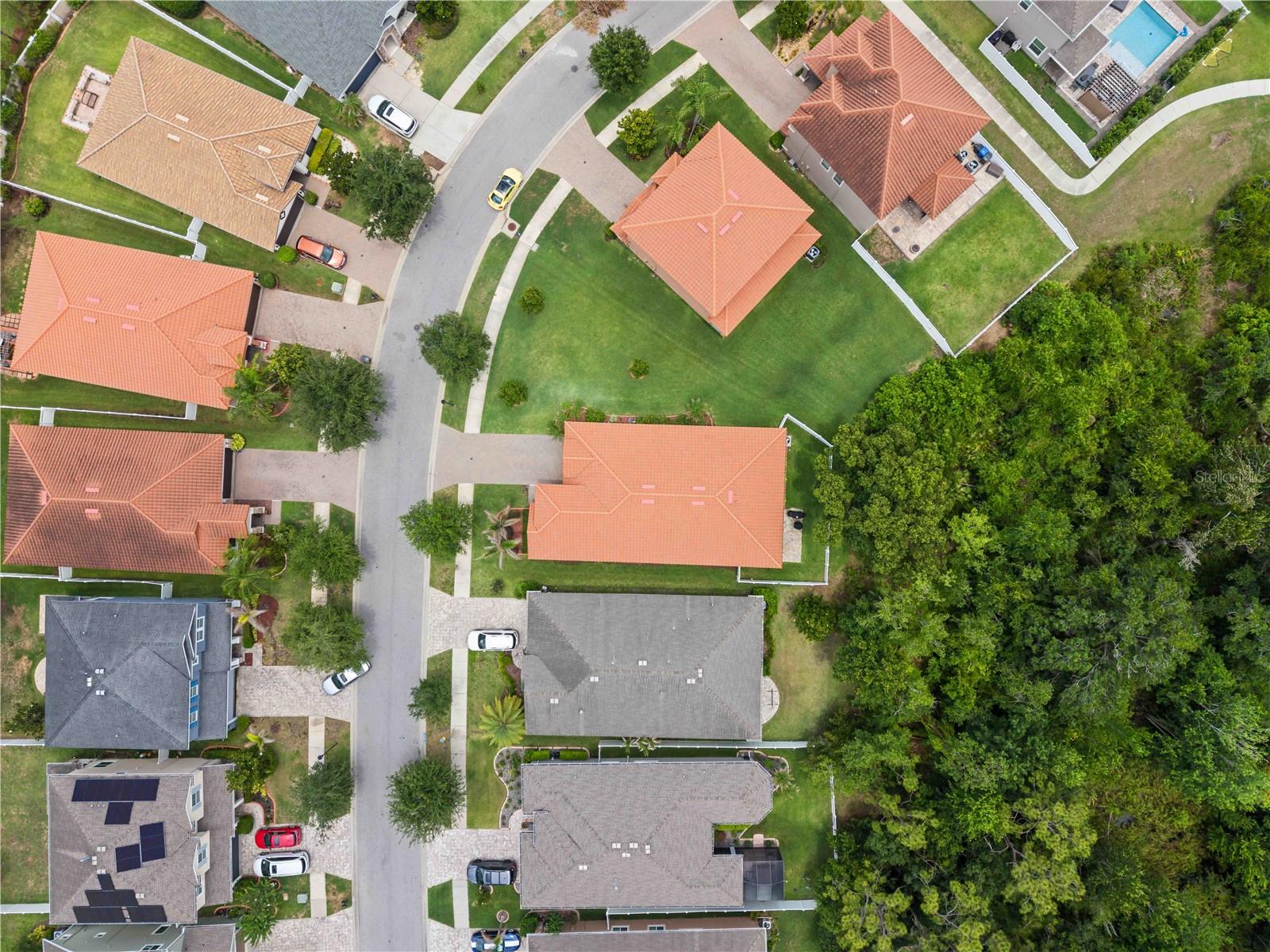 11833 FROST ASTER DR, RIVERVIEW, FL, 33579