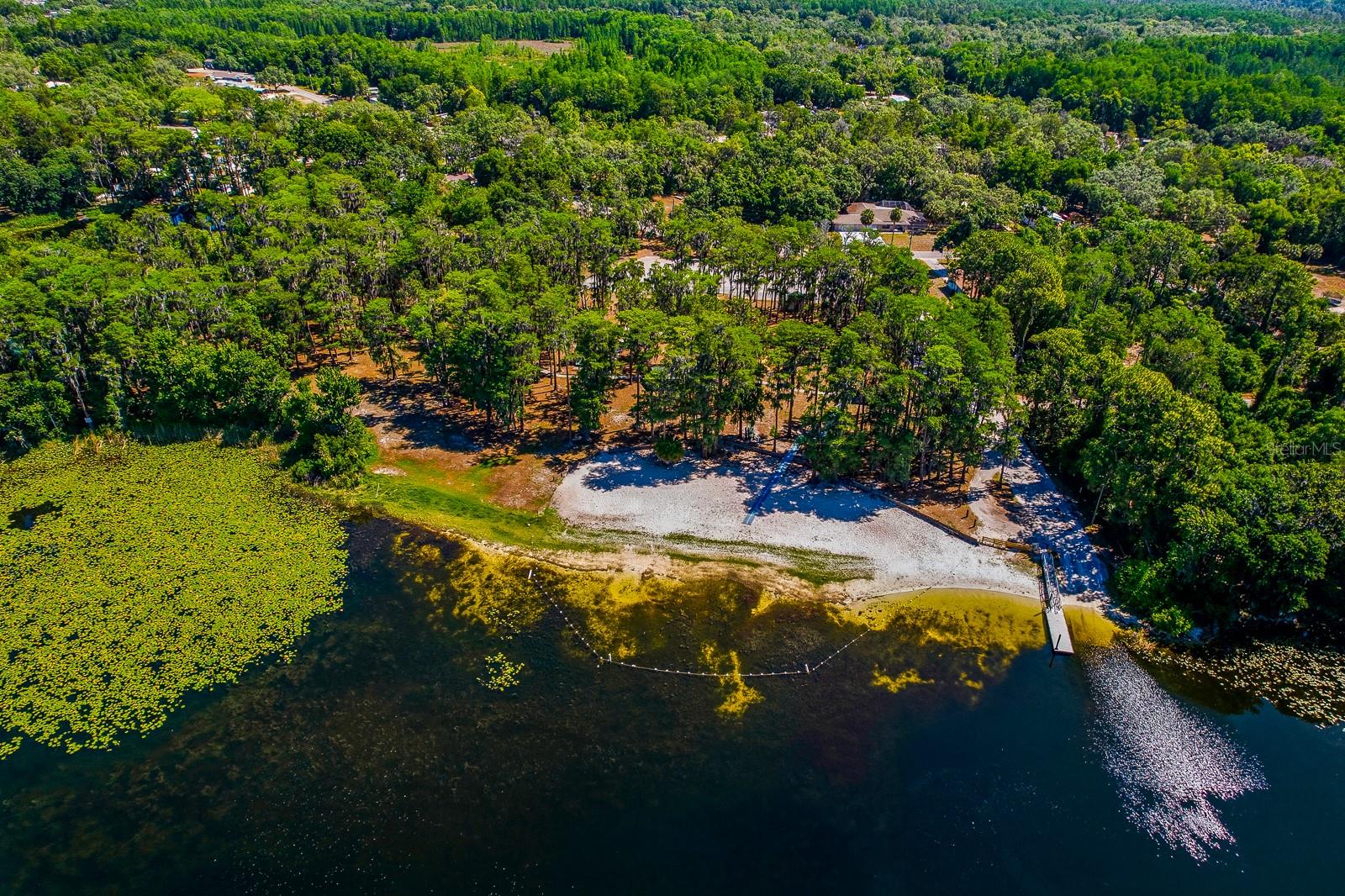 CODEL LOOP, NEW PORT RICHEY, FL, 34654