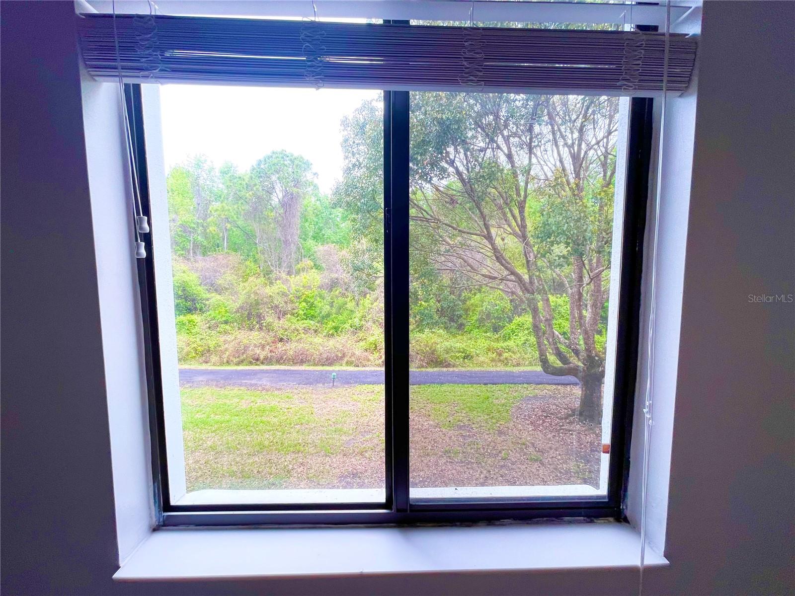 1182 PINE RIDGE CIR W #C-2, TARPON SPRINGS, FL, 34688