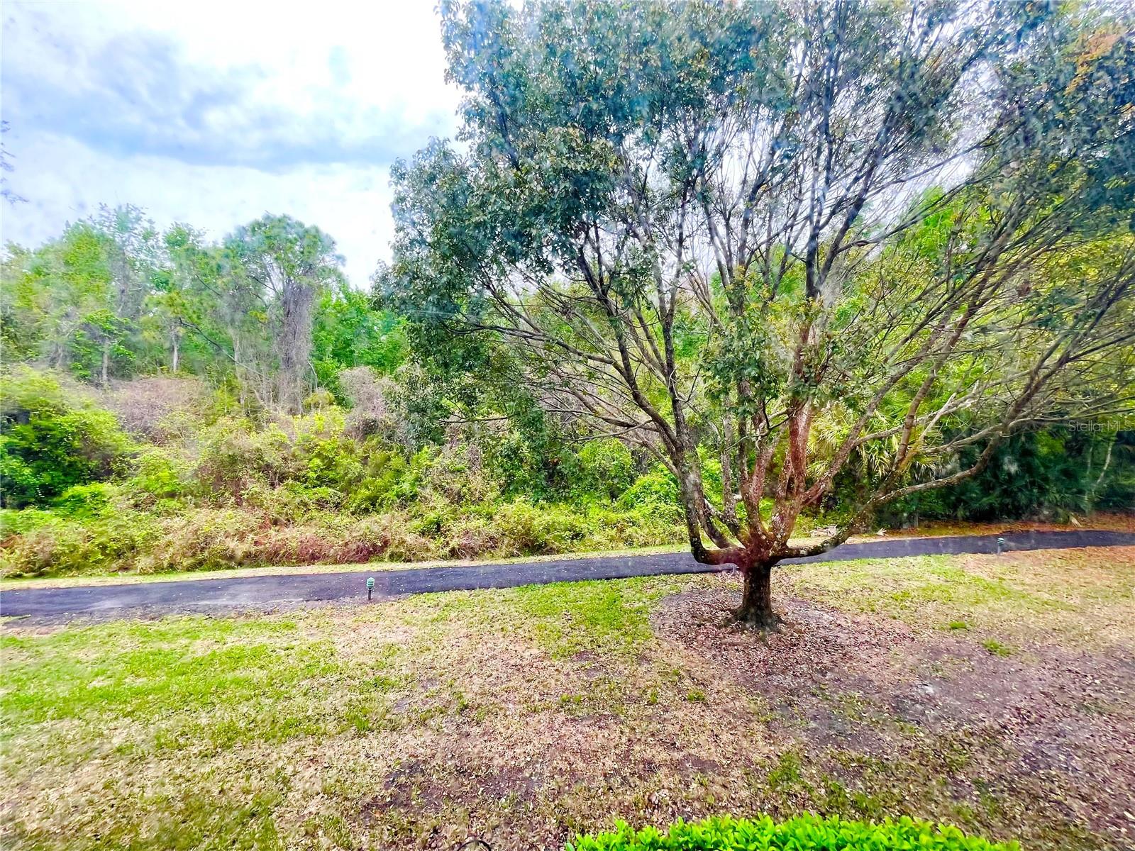 1182 PINE RIDGE CIR W #C-2, TARPON SPRINGS, FL, 34688
