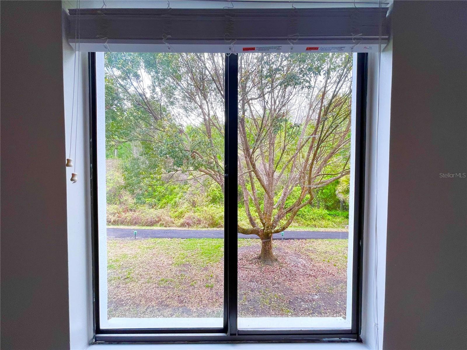 1182 PINE RIDGE CIR W #C-2, TARPON SPRINGS, FL, 34688