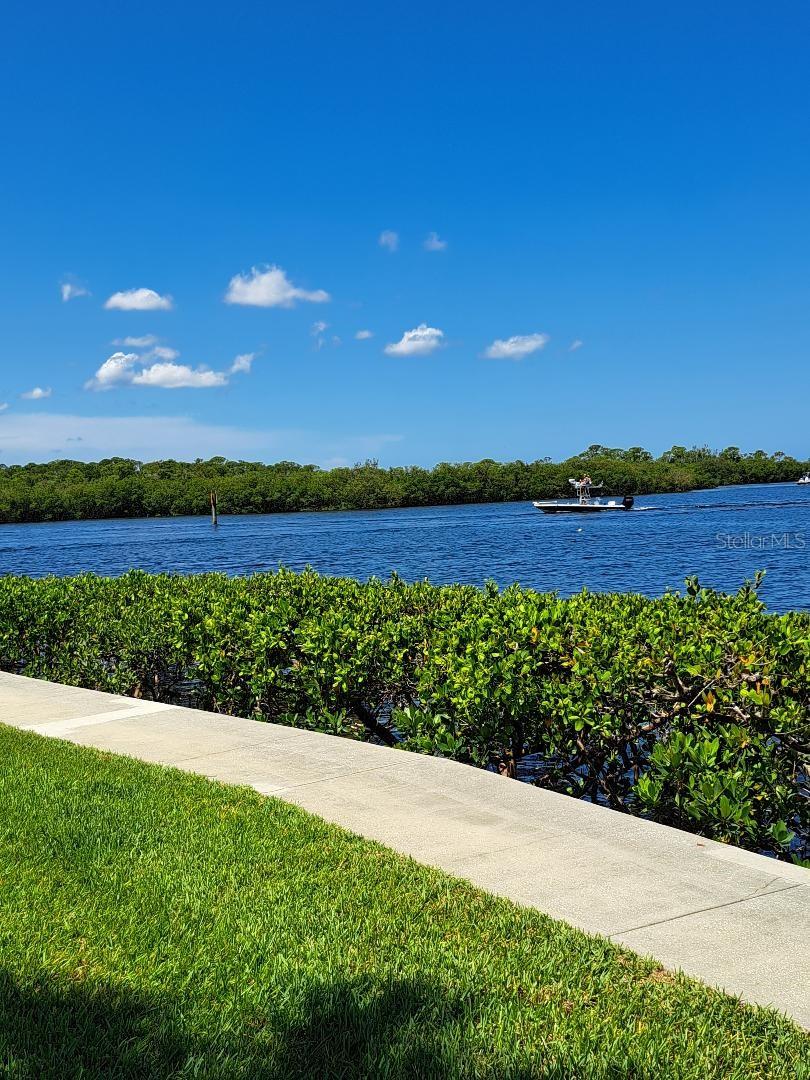 8150 BRENT ST #714, PORT RICHEY, FL, 34668