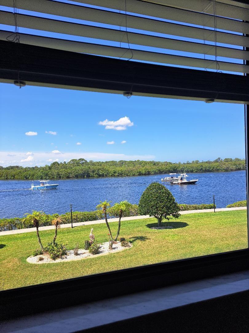 8150 BRENT ST #714, PORT RICHEY, FL, 34668