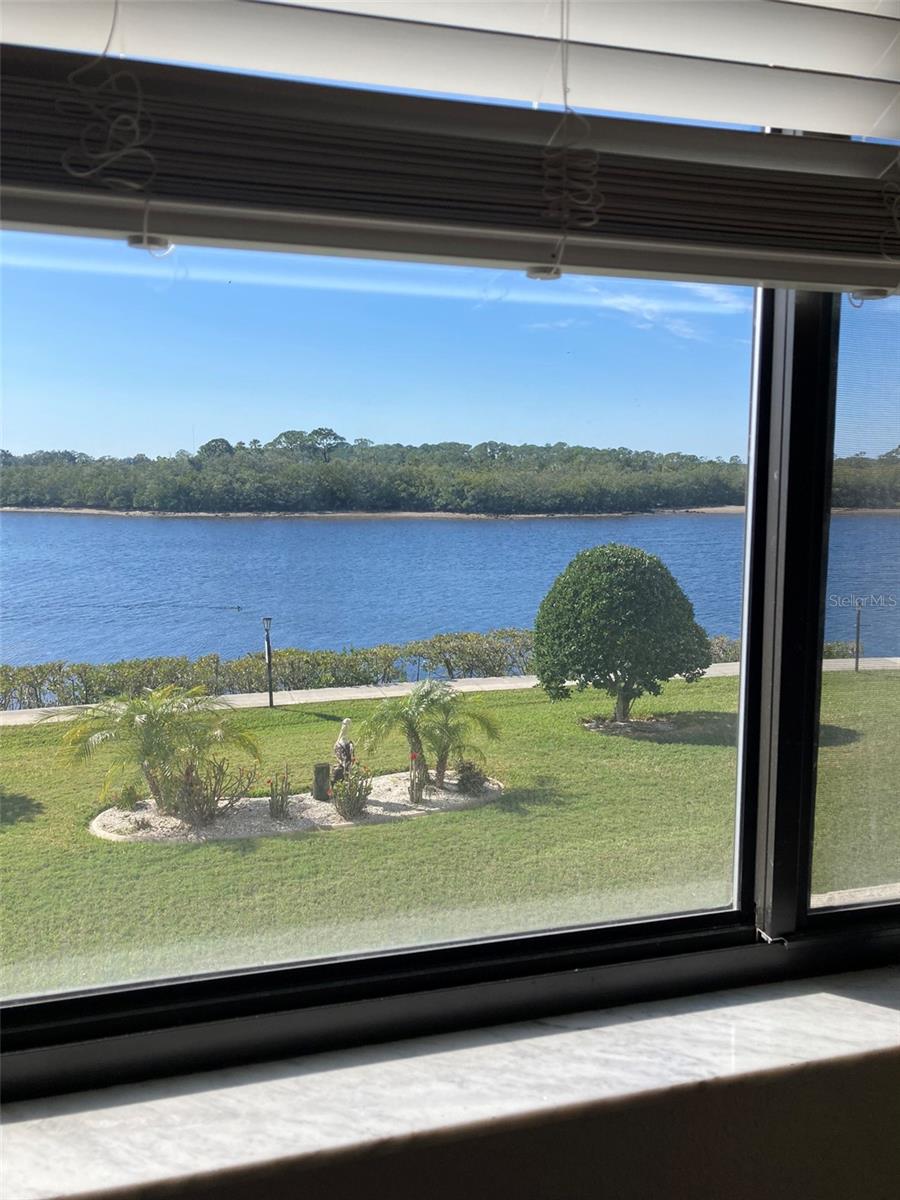 8150 BRENT ST #714, PORT RICHEY, FL, 34668