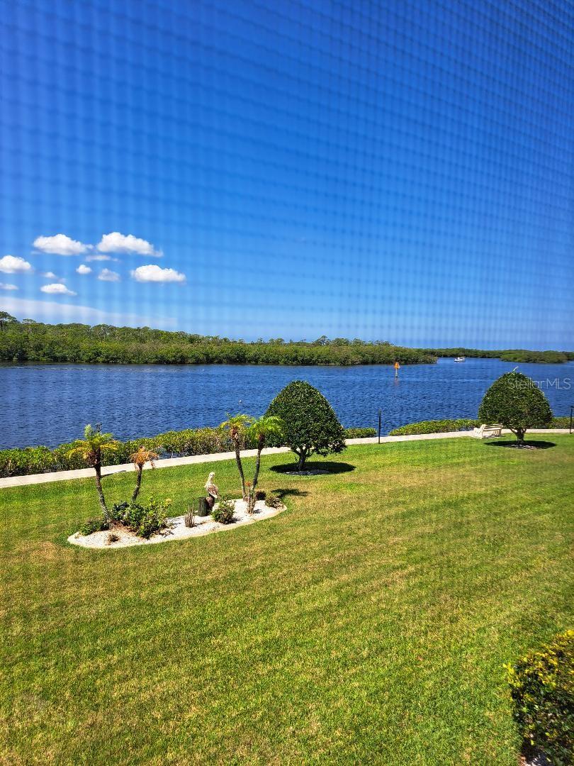 8150 BRENT ST #714, PORT RICHEY, FL, 34668