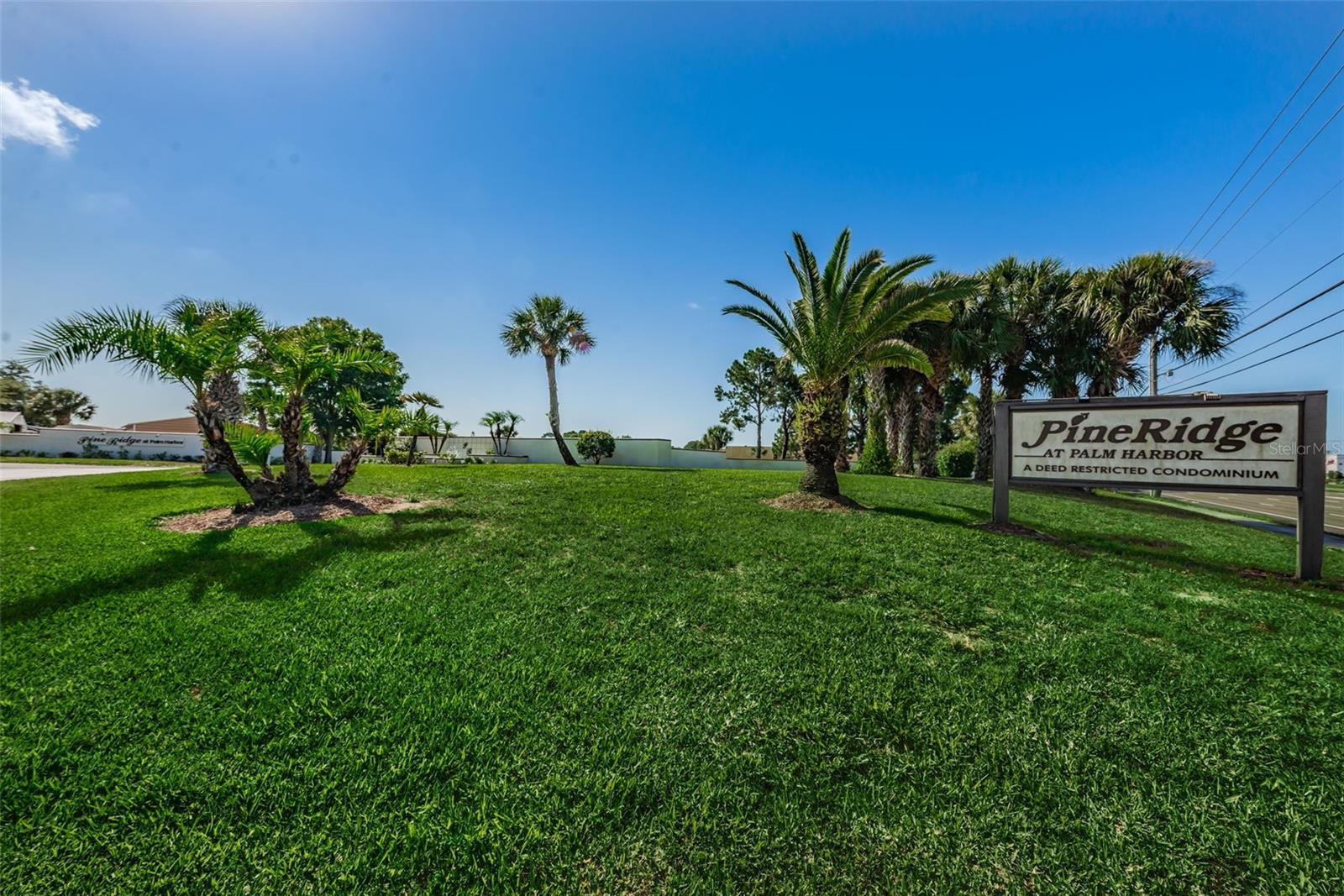 2687 PINE RIDGE WAY S #B2, PALM HARBOR, FL, 34684